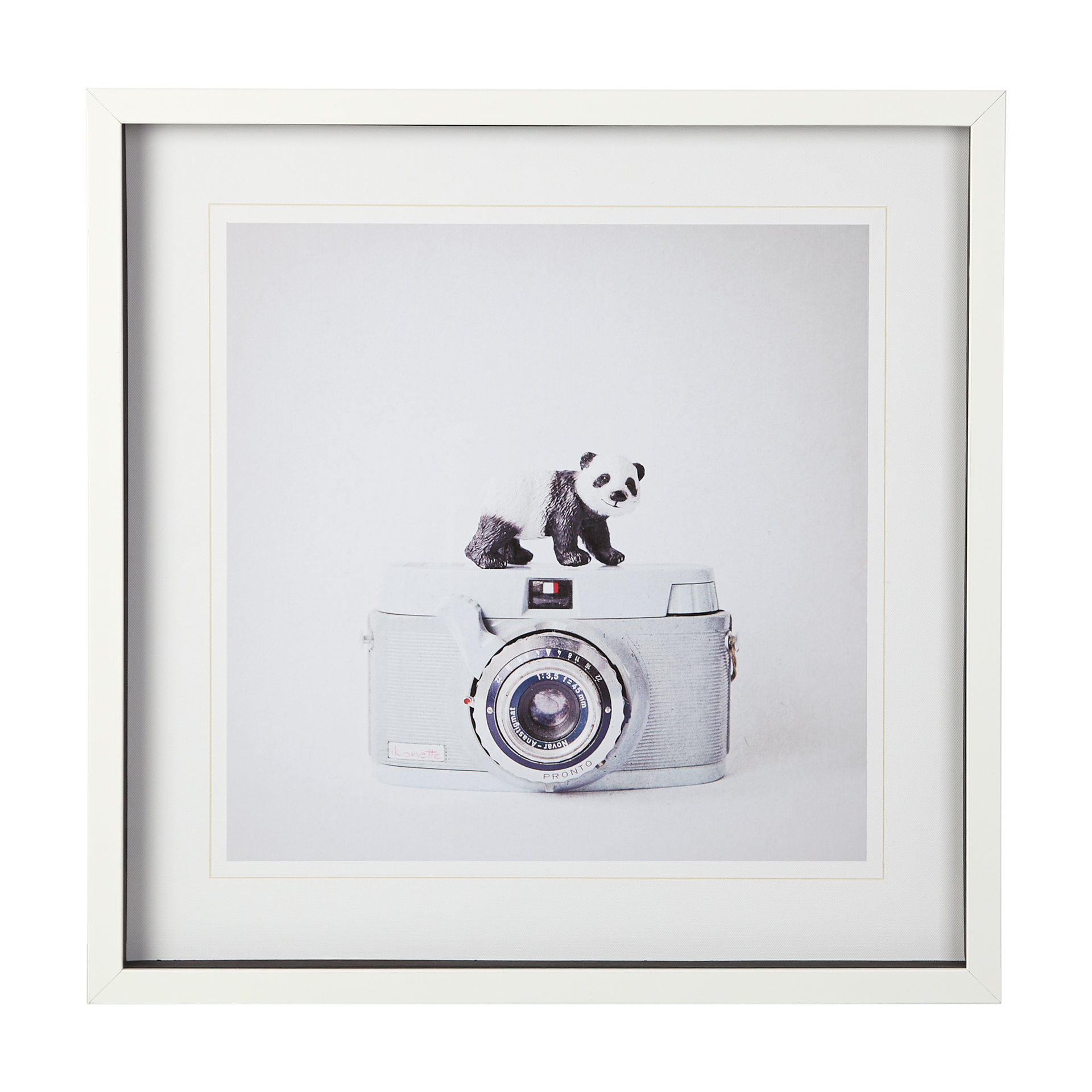 Panda & Vintage Camera (25 x 25)