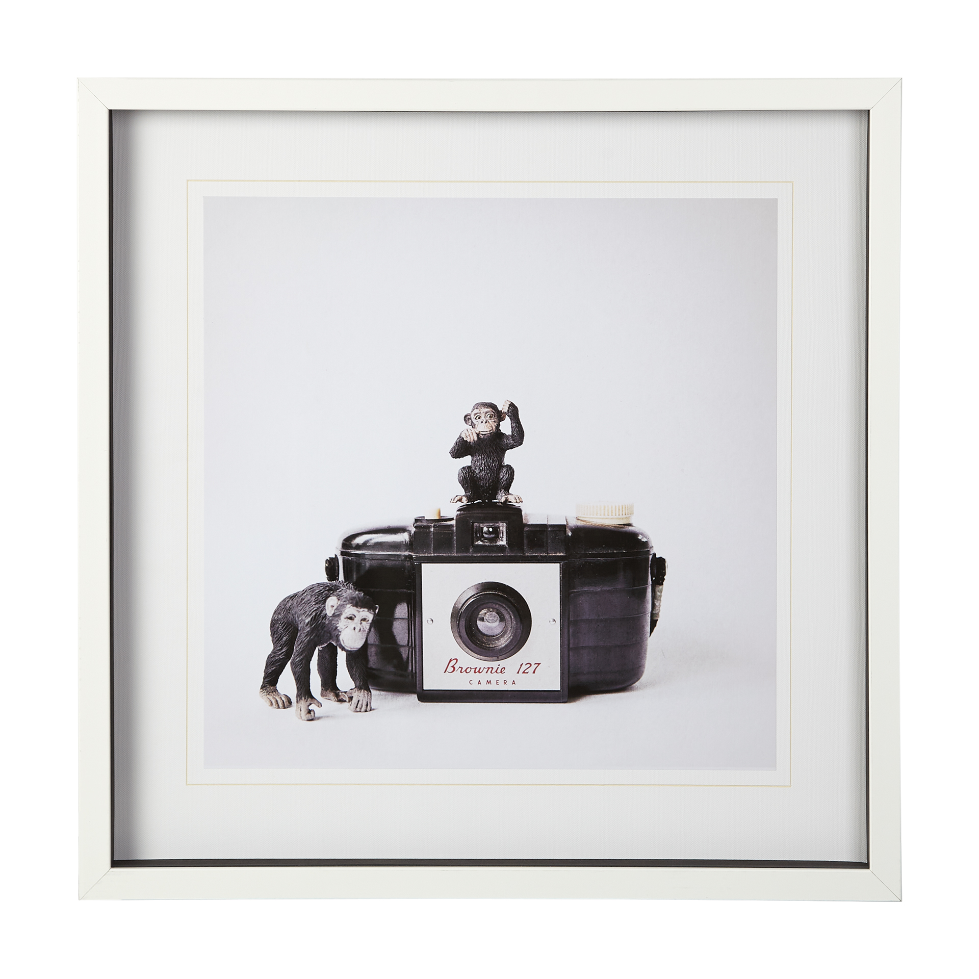 Monkeys & Vintage Camera (25 x 25)