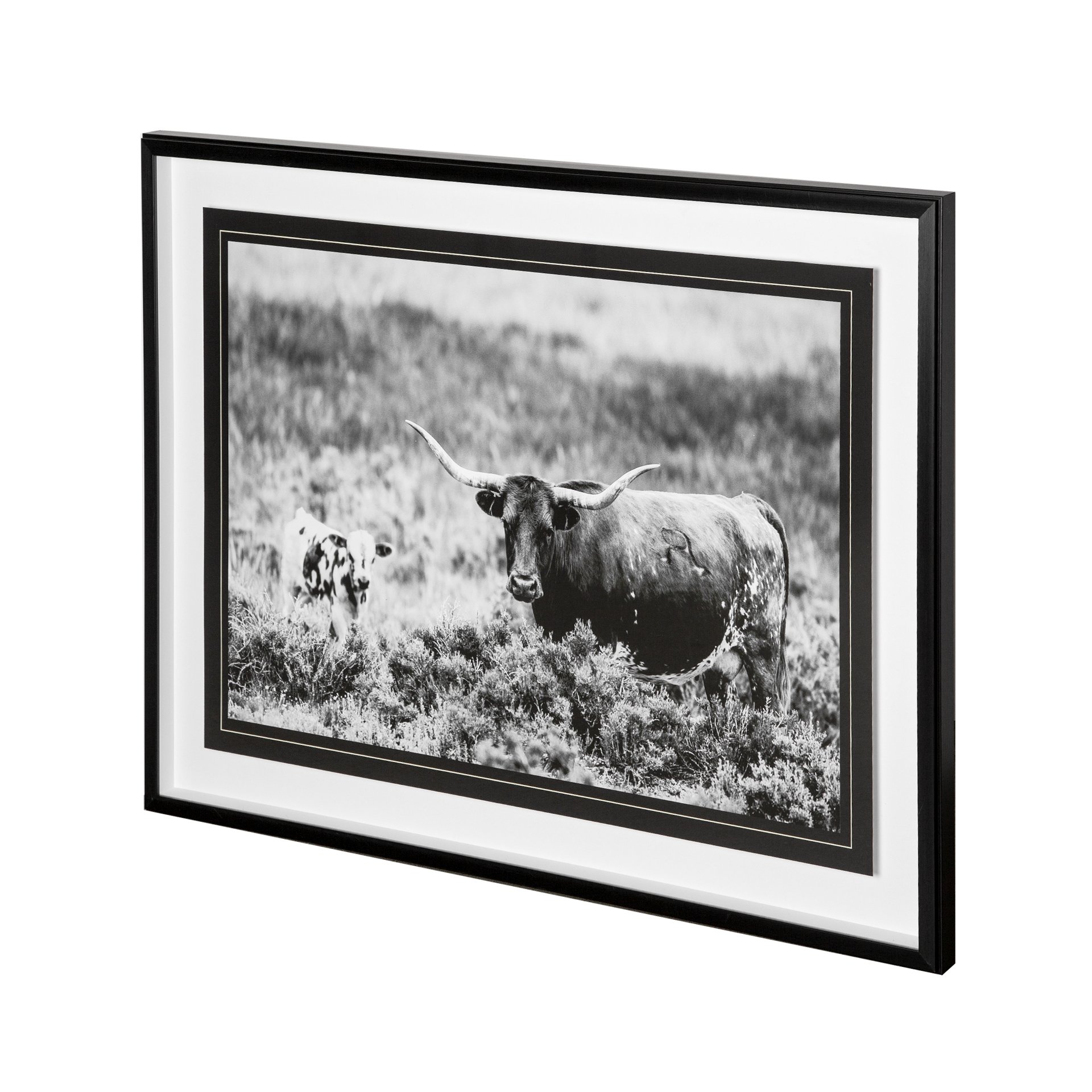 B&W Longhorn II (31 x 41)