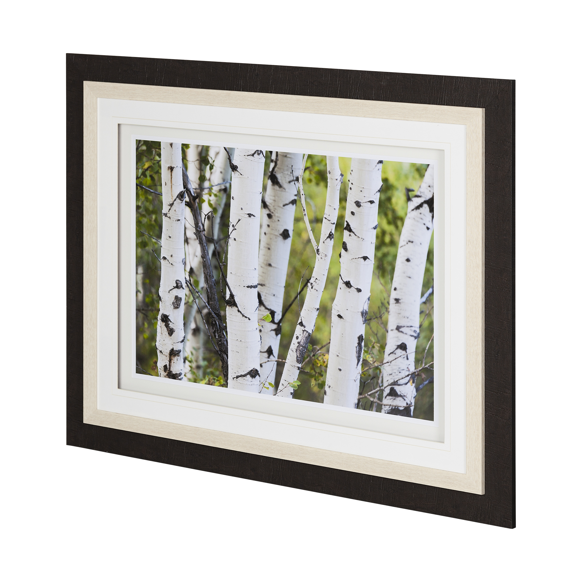 Spring Birch (47 x 37)