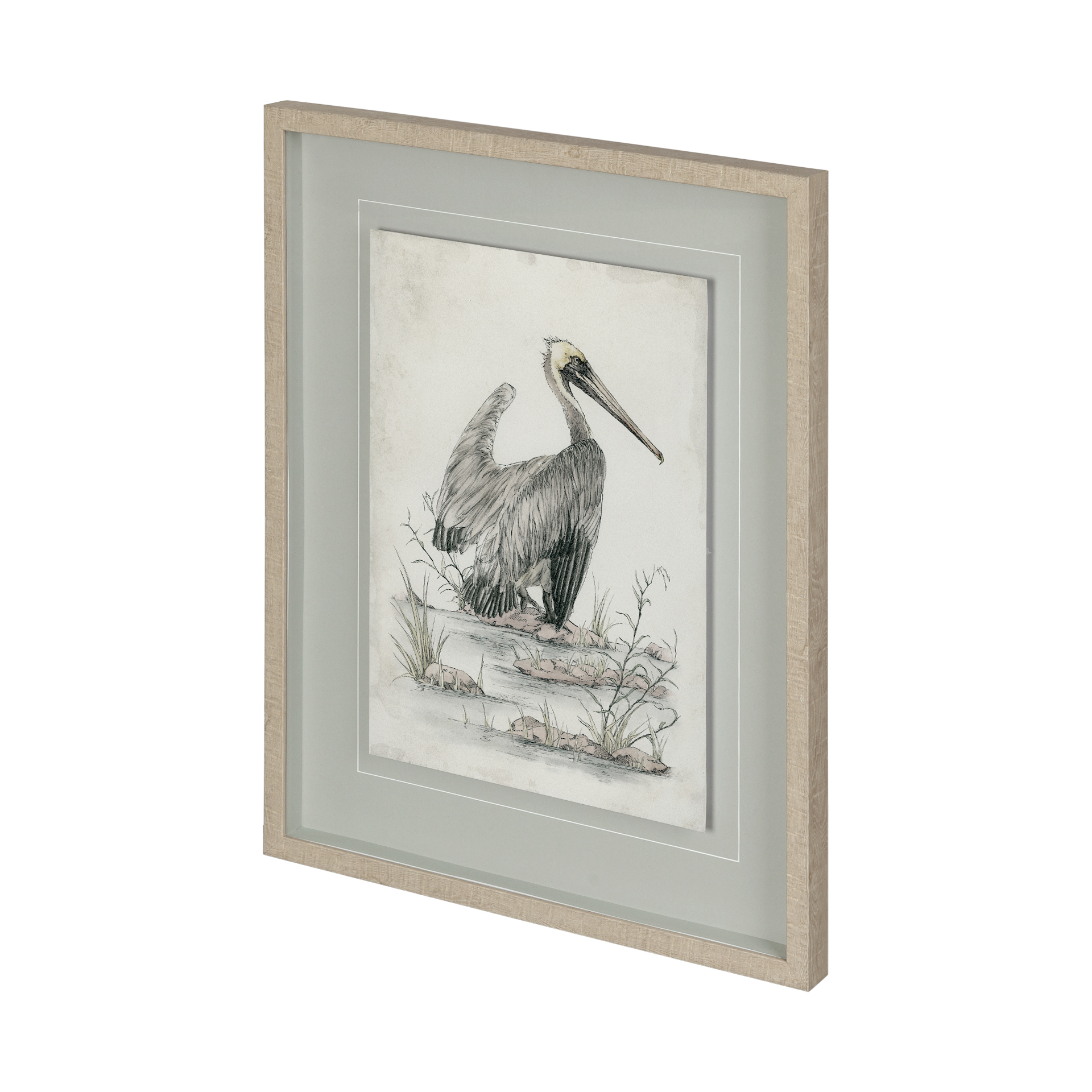 Brown Pelican (25 x 31)