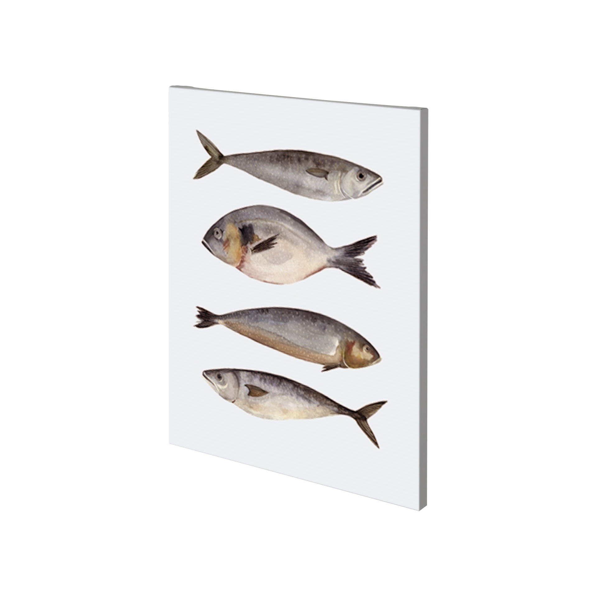 Four Fish II (27 x 36)