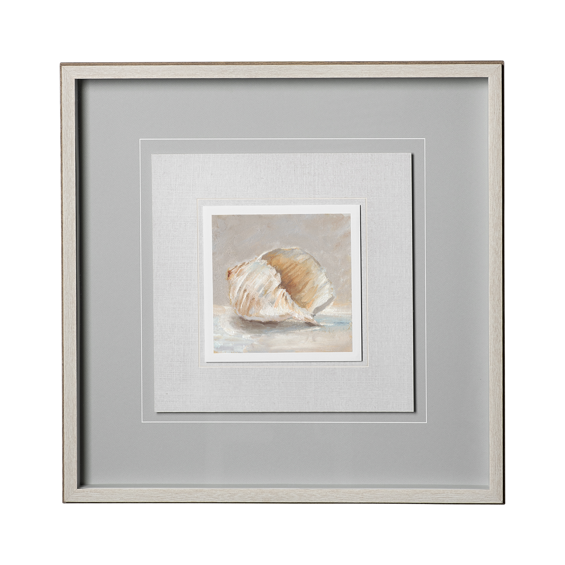 Impressionist Shell Study IV (25 x 25)