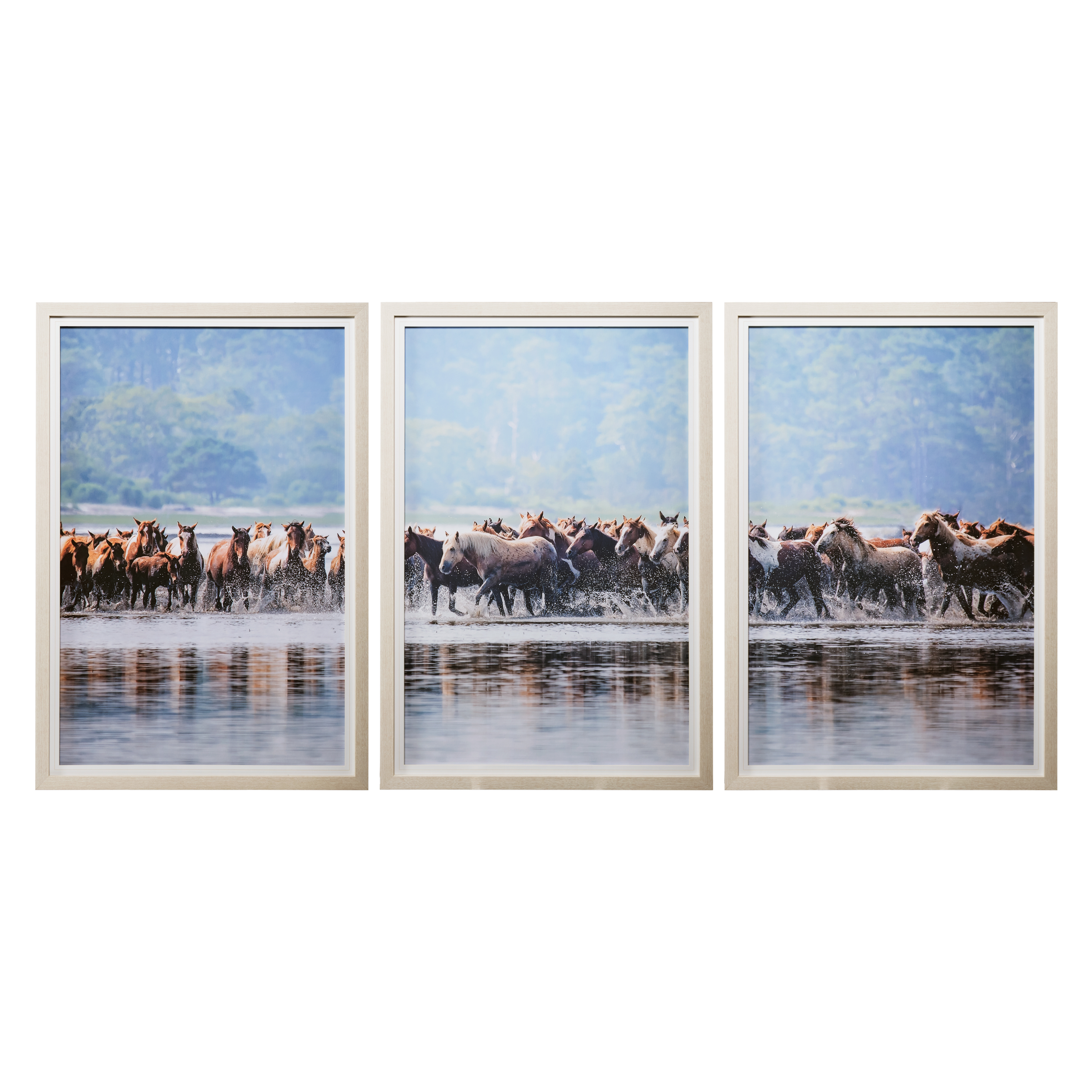 Water Horses II (Set 3) (43 x 63)