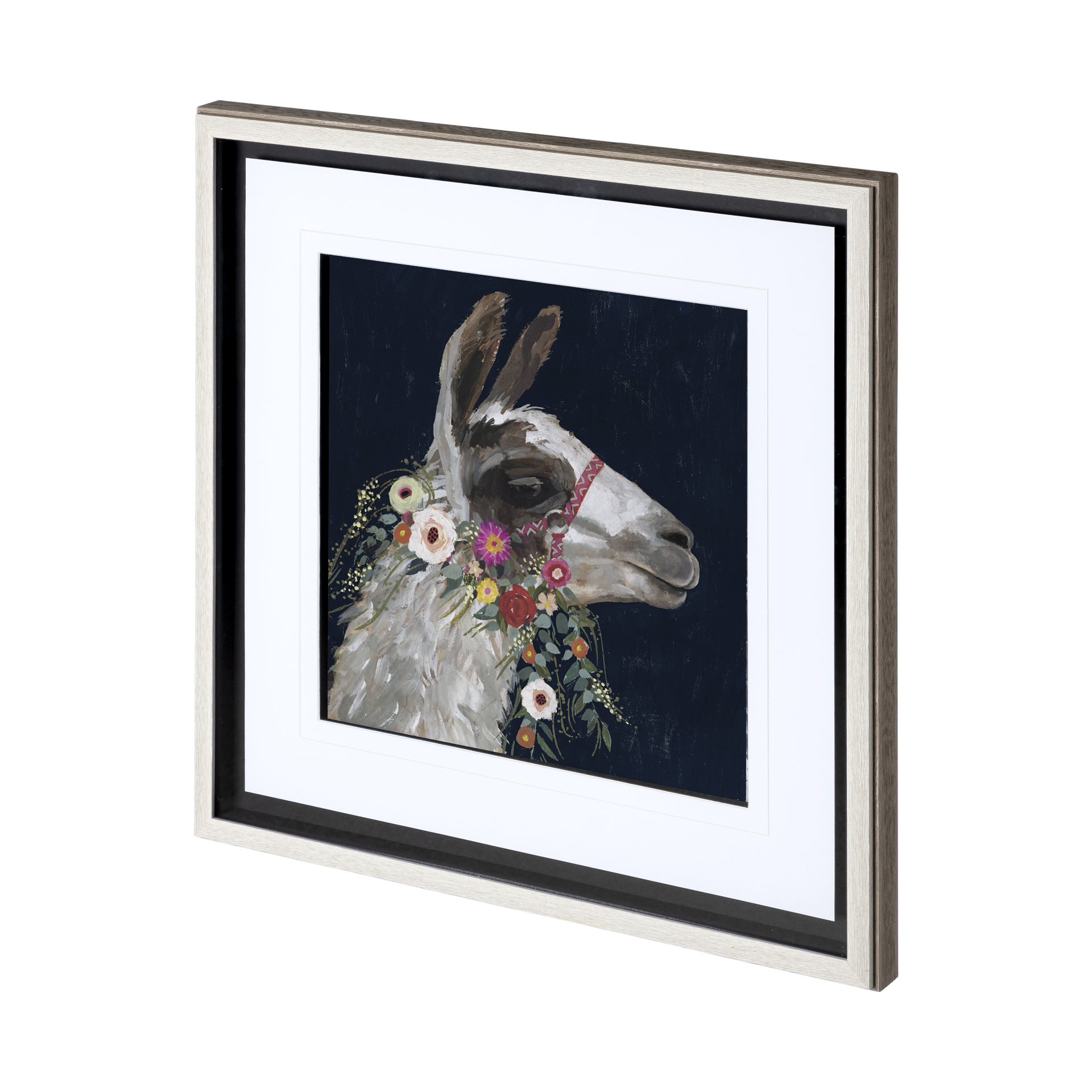 Lovely Llama I (21 x 25)