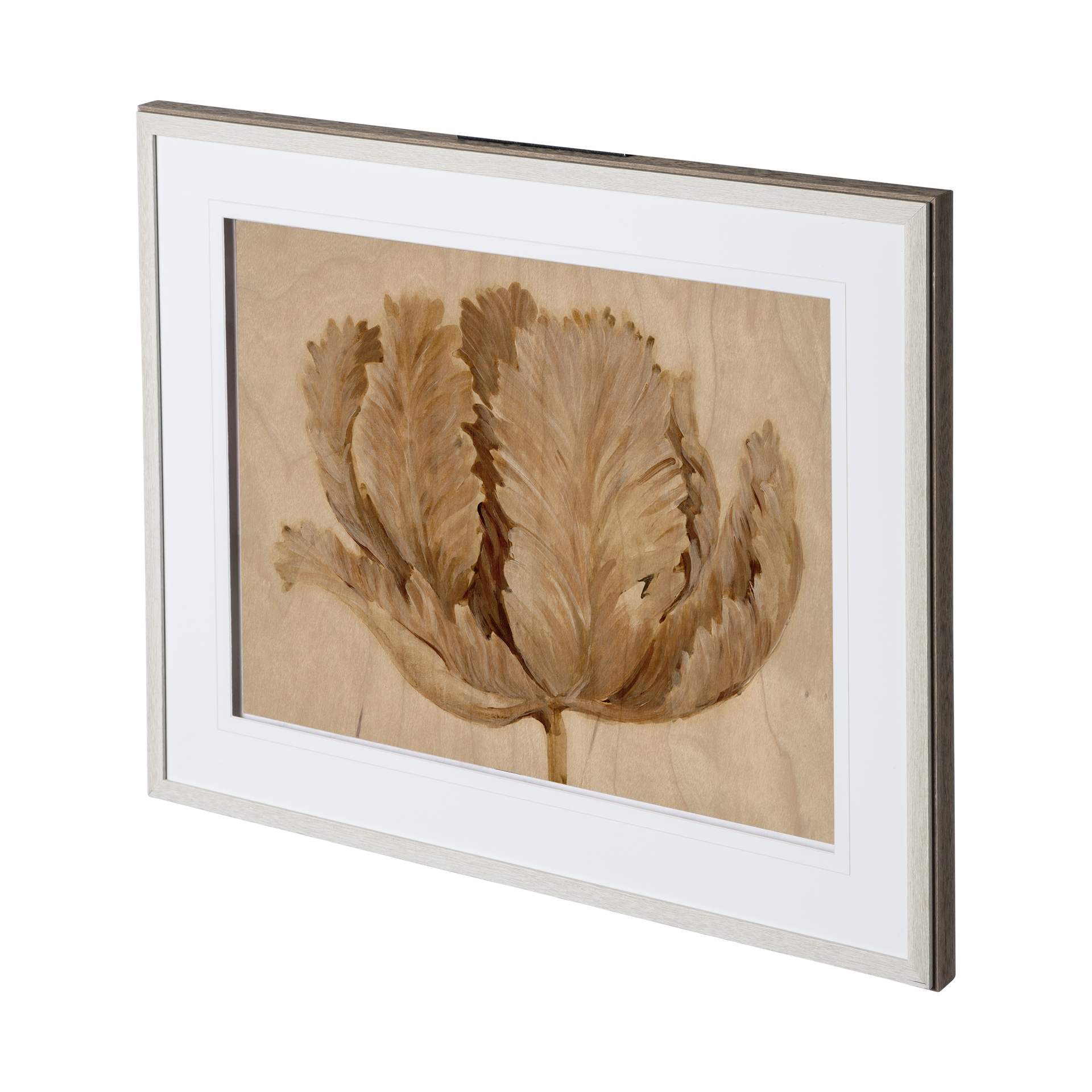 Sepia Tulip on Birch I (31 x 25)