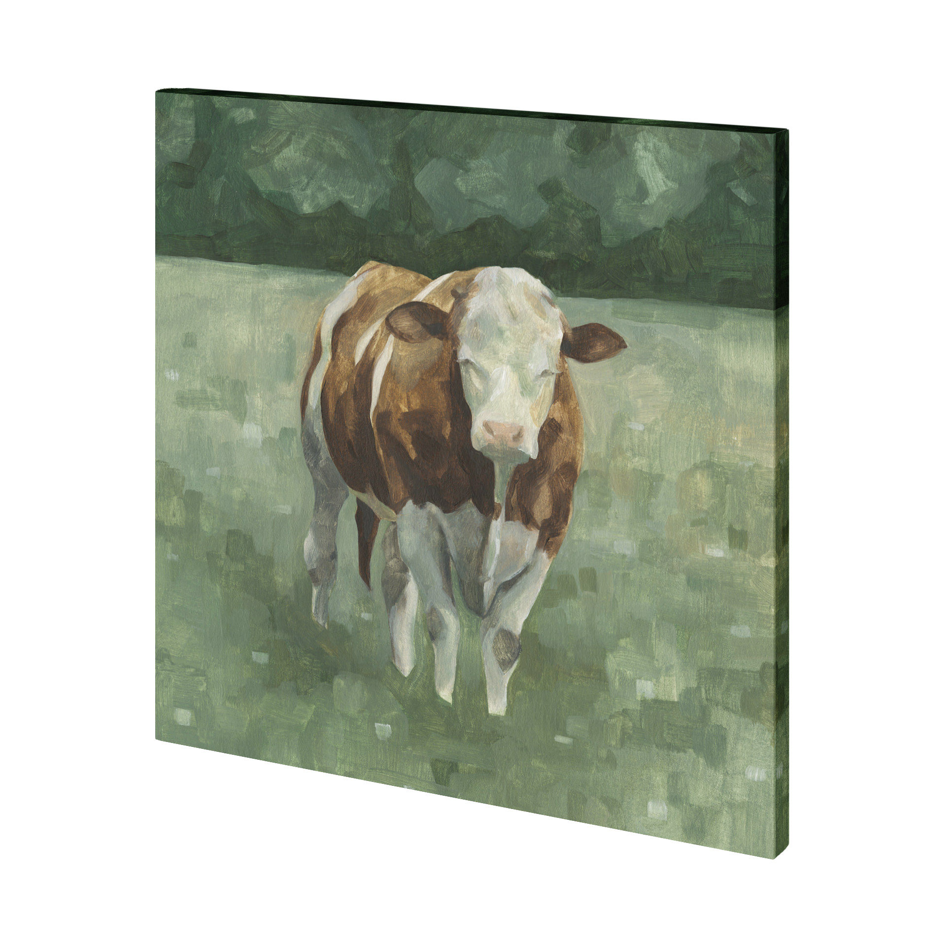 Hereford Cattle II (30 x 30)