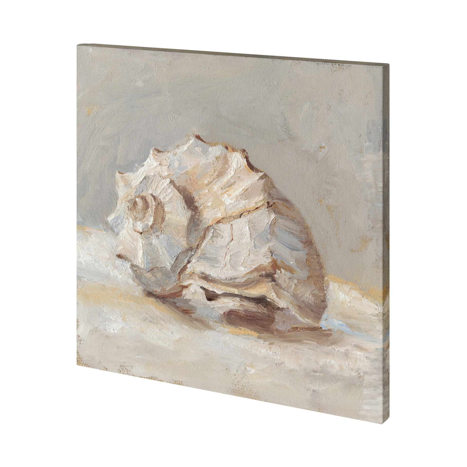 Impressionist Shell Study II (41 x 41)