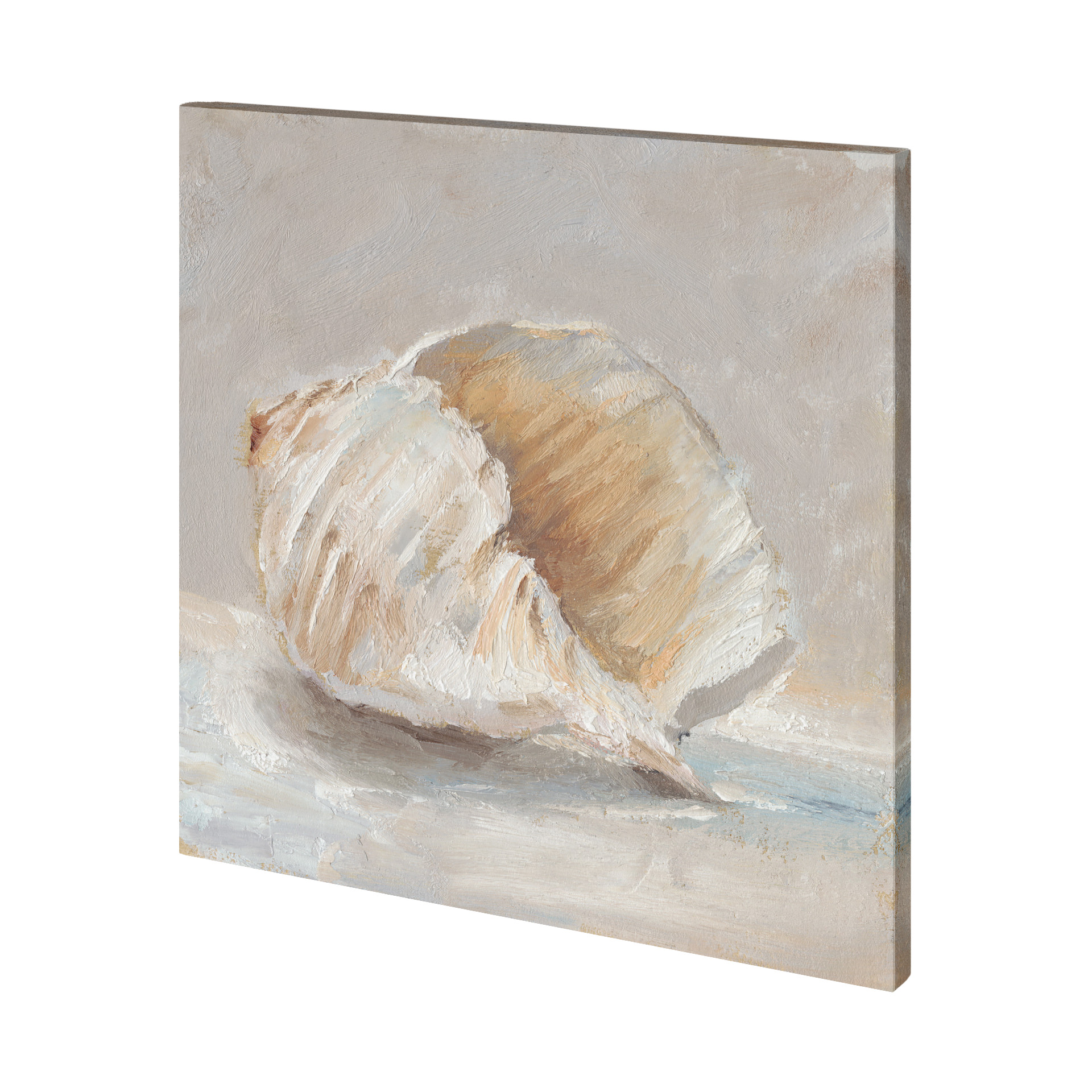 Impressionist Shell Study IV (41 x 41)