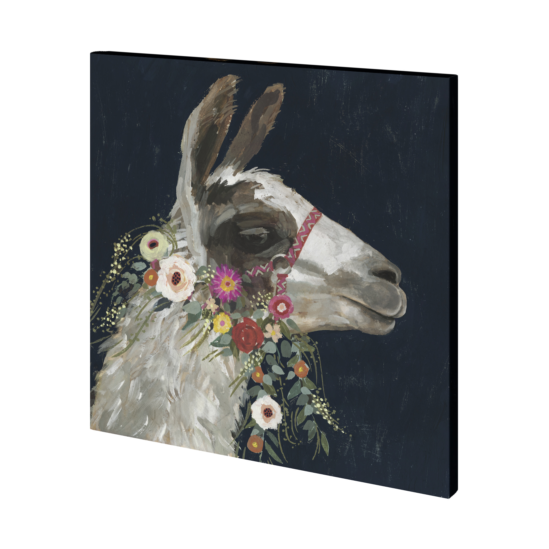 Lovely Llama I (41 x 41)