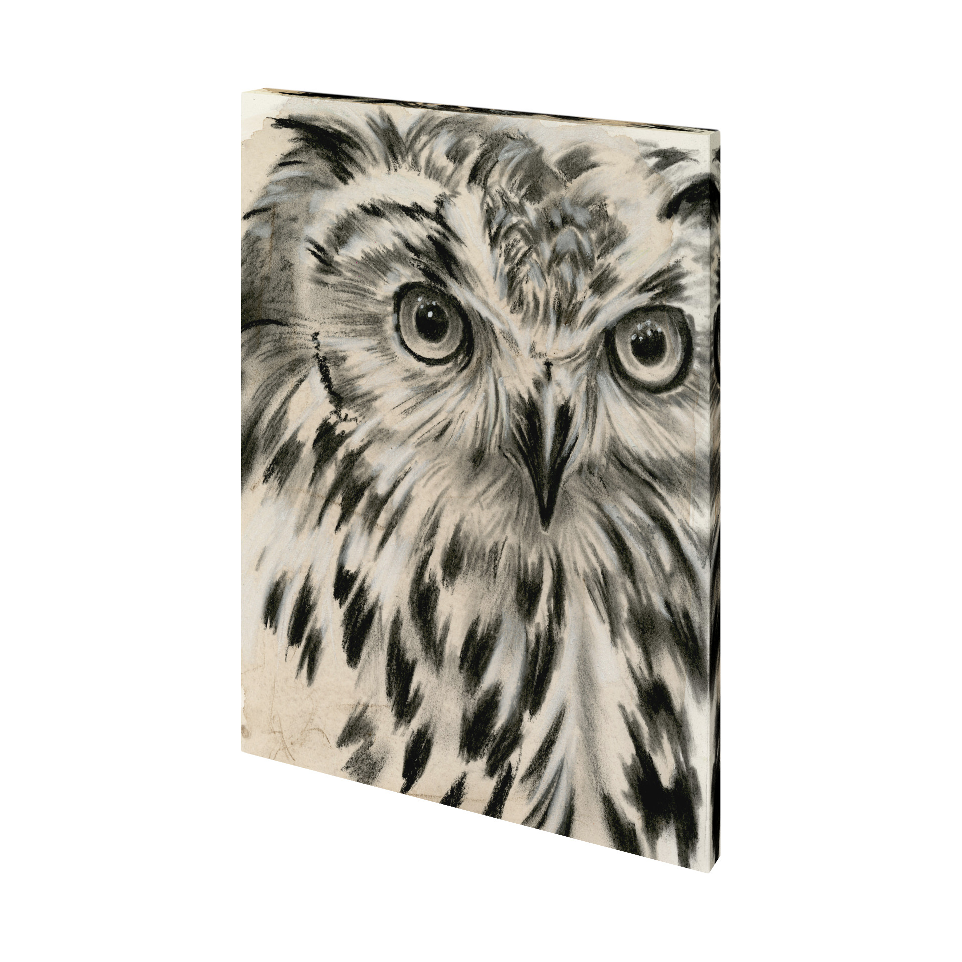 Charcoal Owl I (42 x 56)