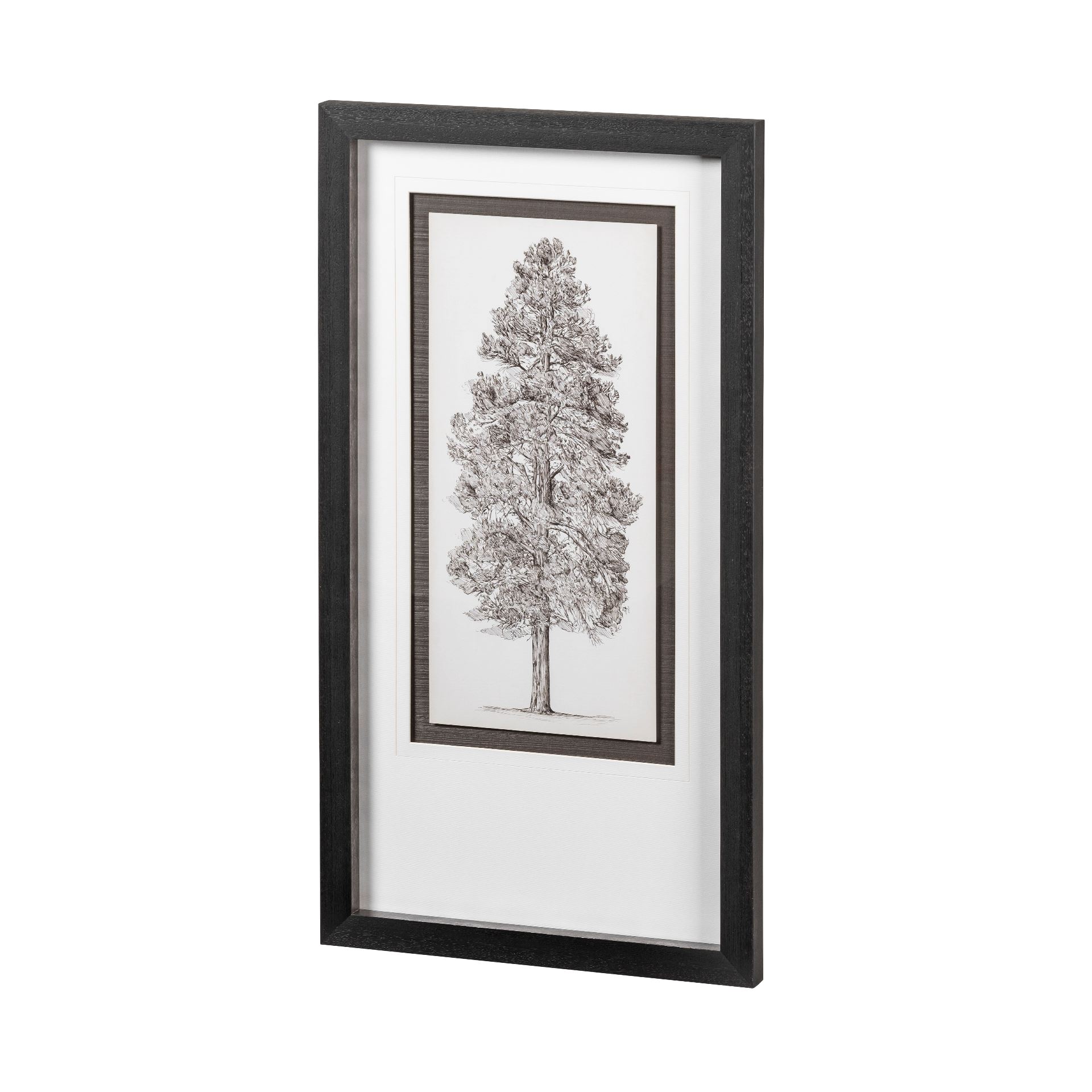 Pacific Northwest Tree Sketch III (23 x 43)