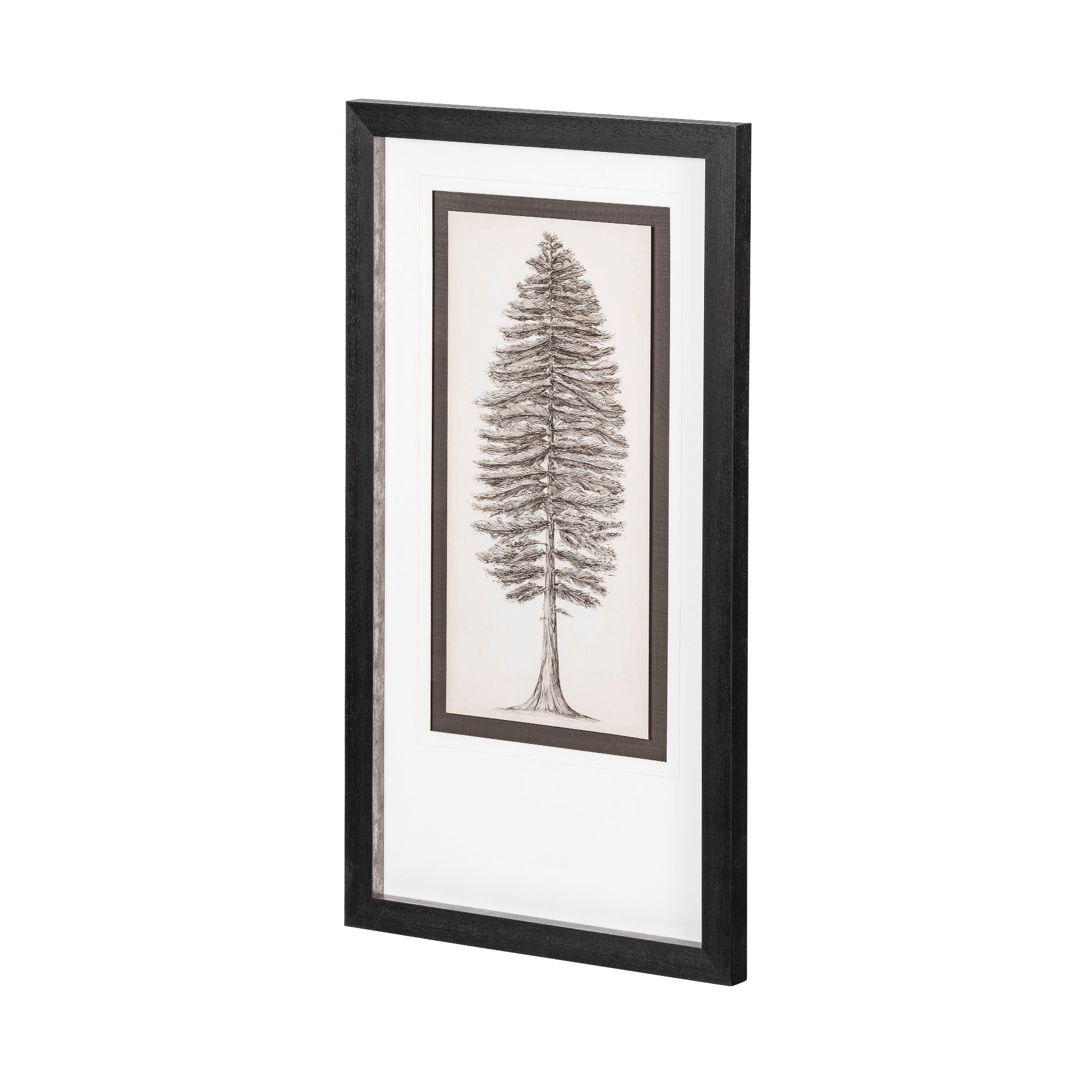 Pacific Northwest Tree Sketch II (23 x 43)