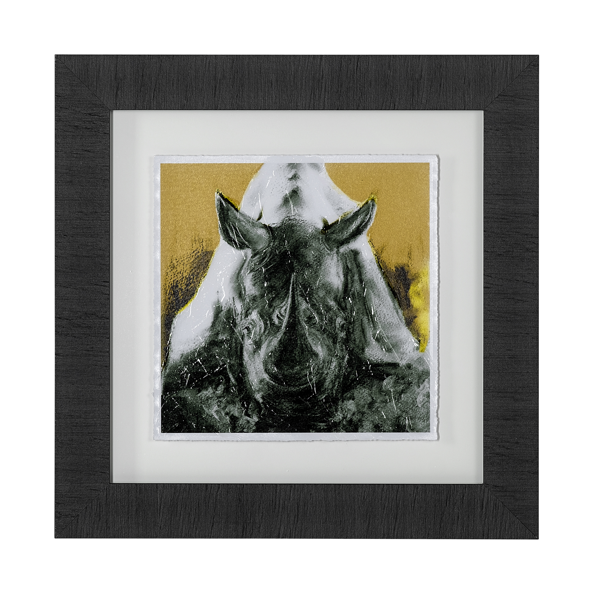 Rhino Yellow (25 x 25)