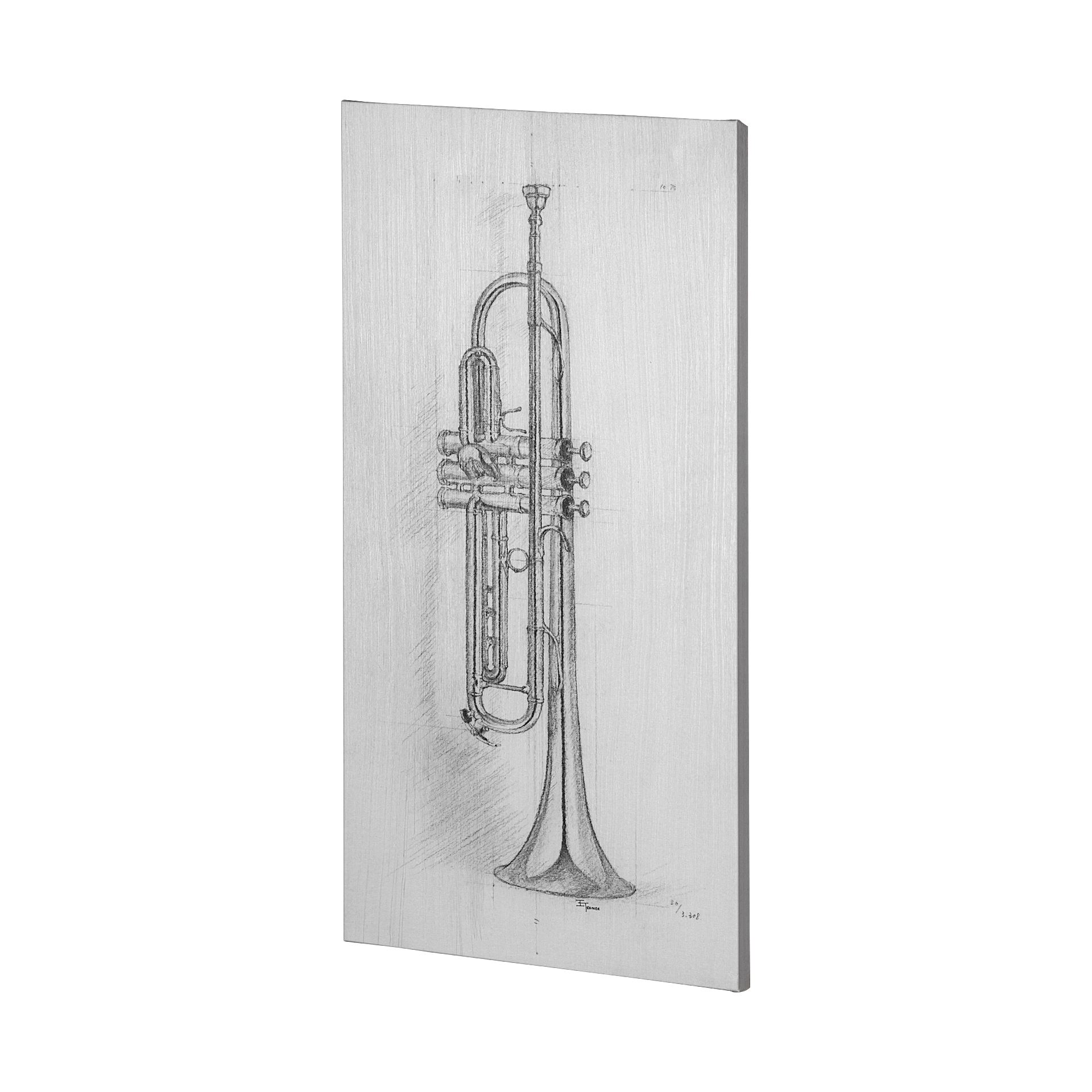 Trumpet (30 x 60)