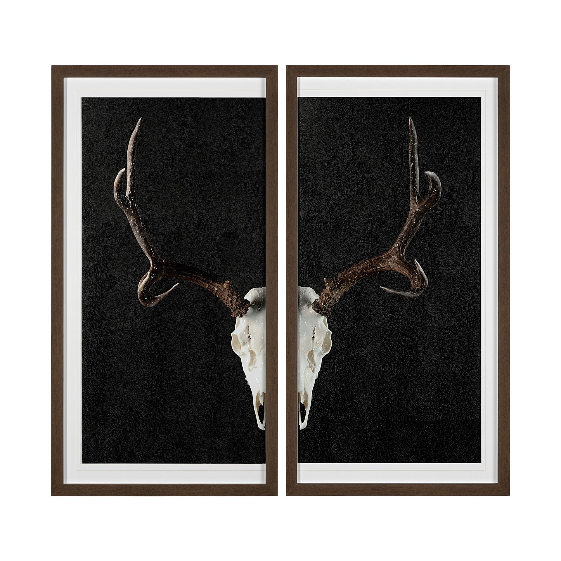 Deer Skull (Set 2) (33 x 63)