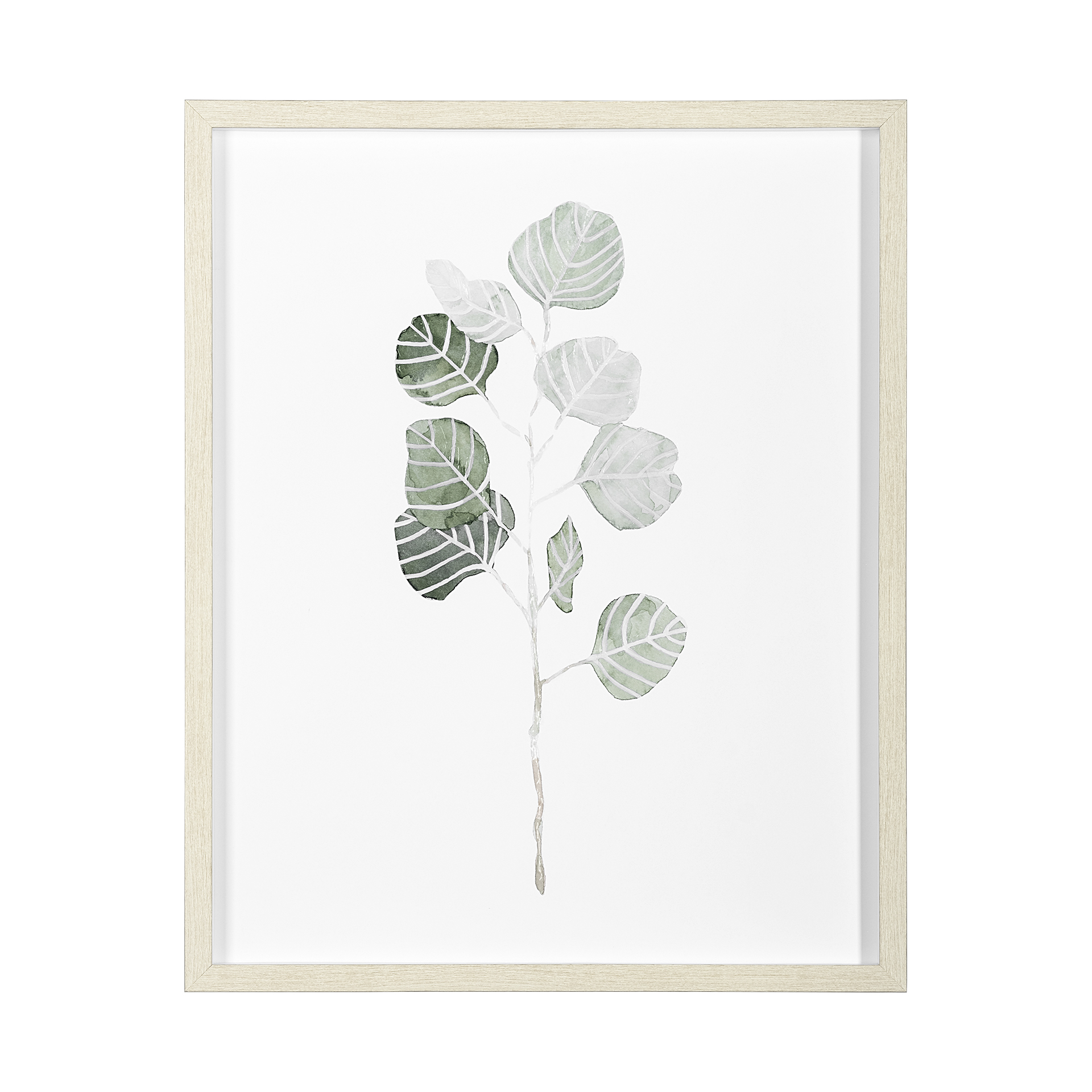 Soft Eucalyptus Branch I (25 x 31)