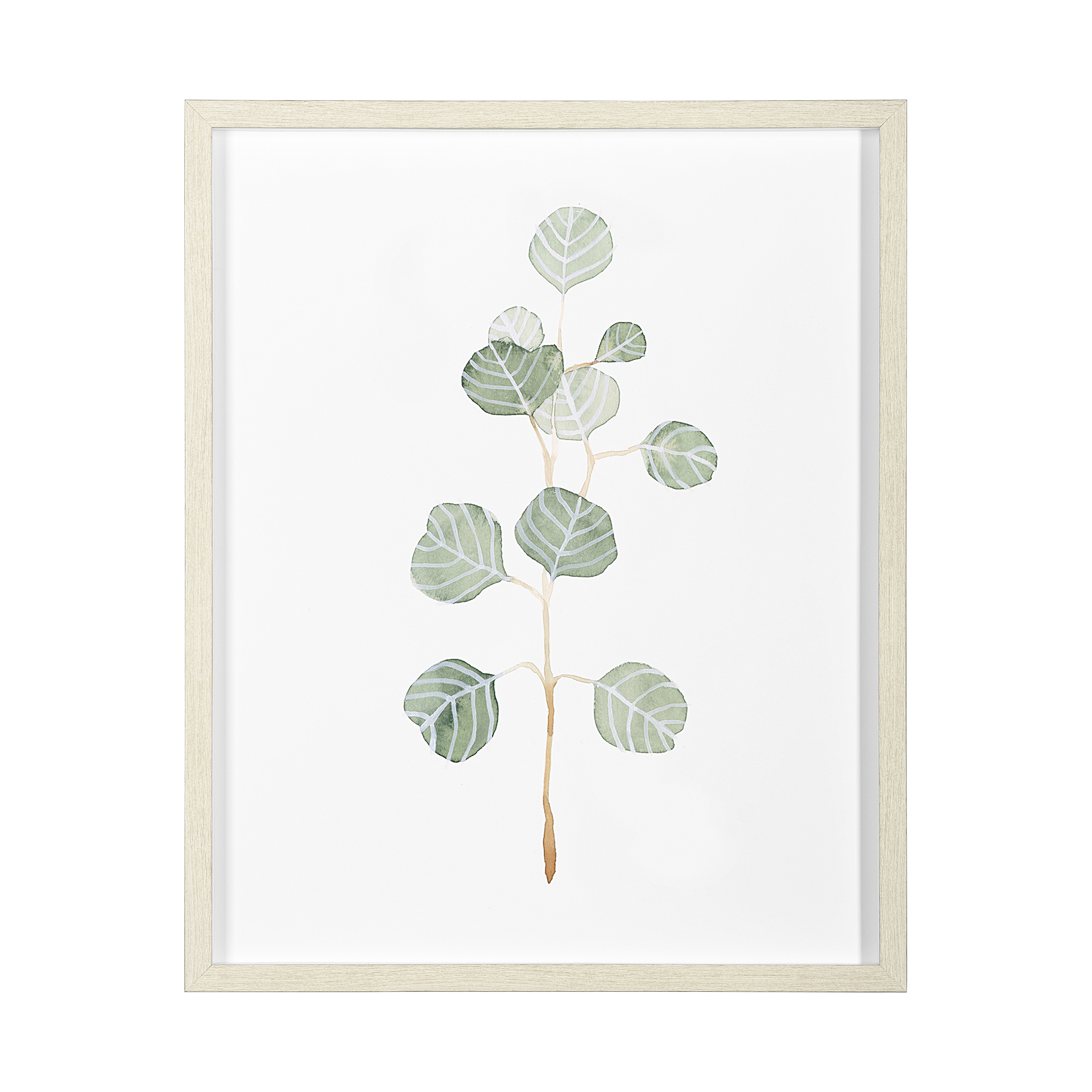 Soft Eucalyptus Branch II (25 x 31)