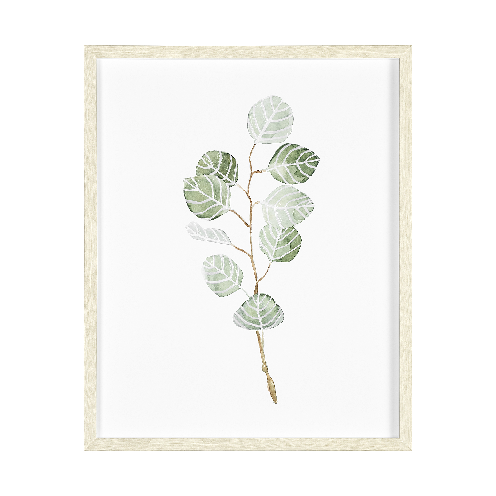 Soft Eucalyptus Branch III (25 x 31)