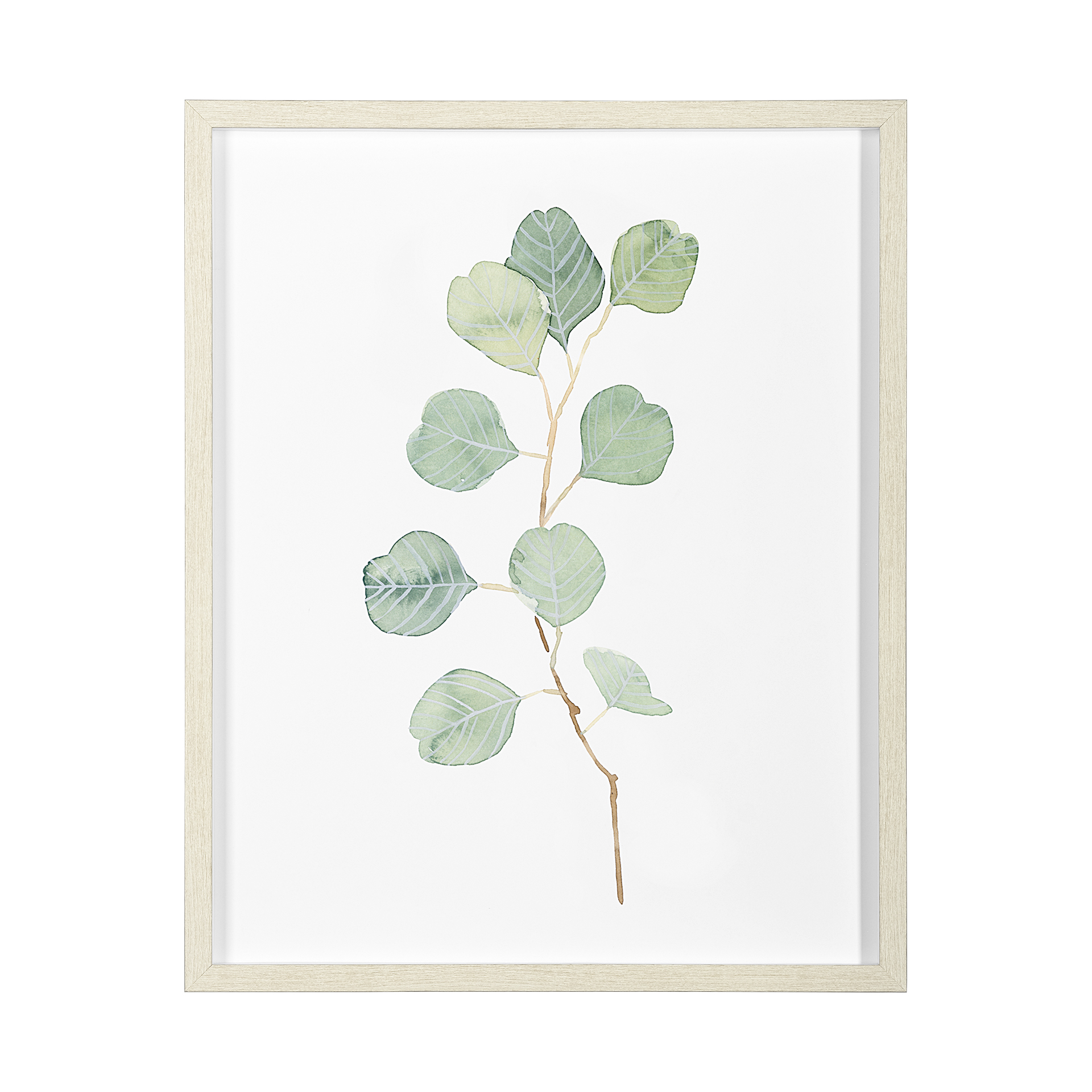 Soft Eucalyptus Branch IV (25 x 31)