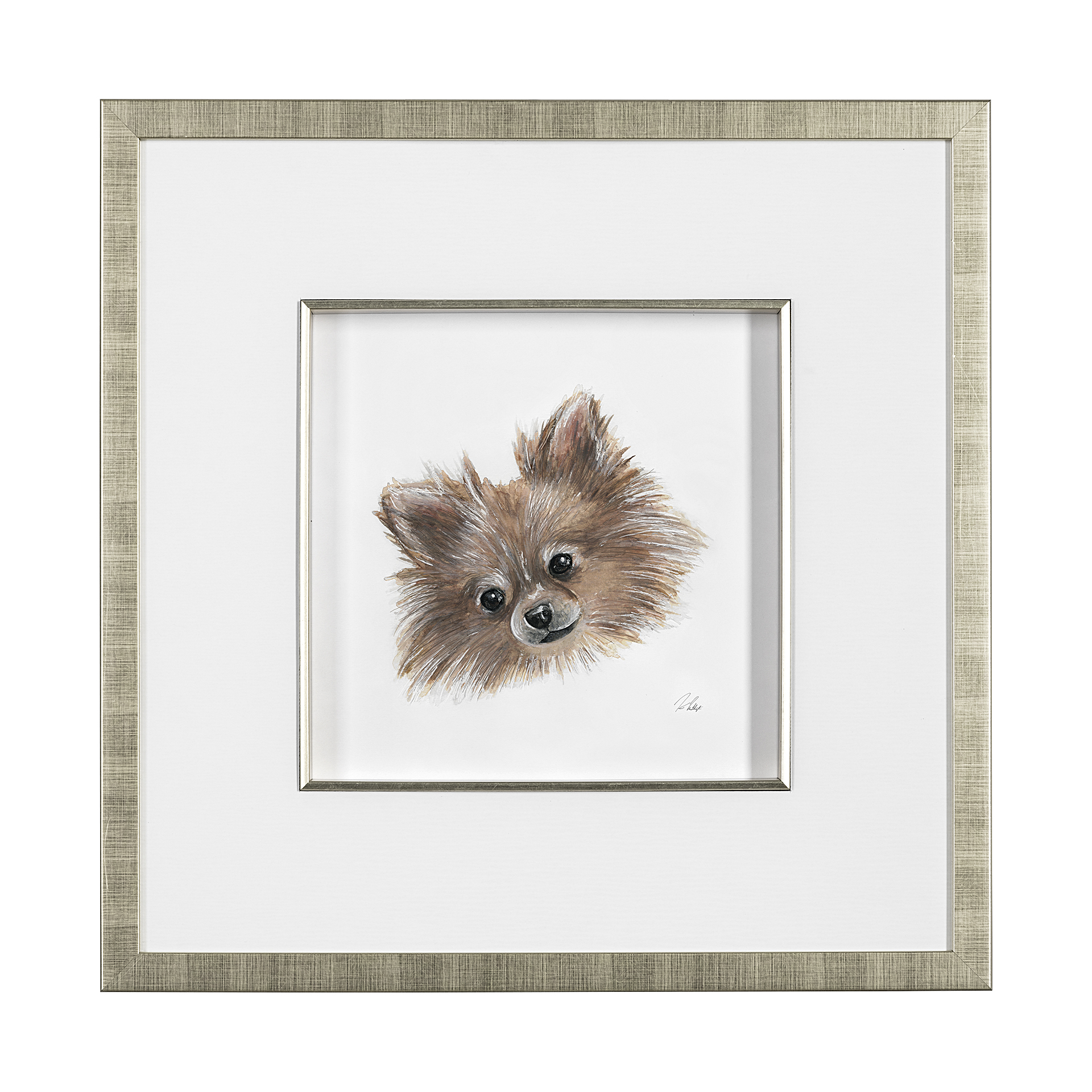 Frankie Pomeranian (22 x 22)