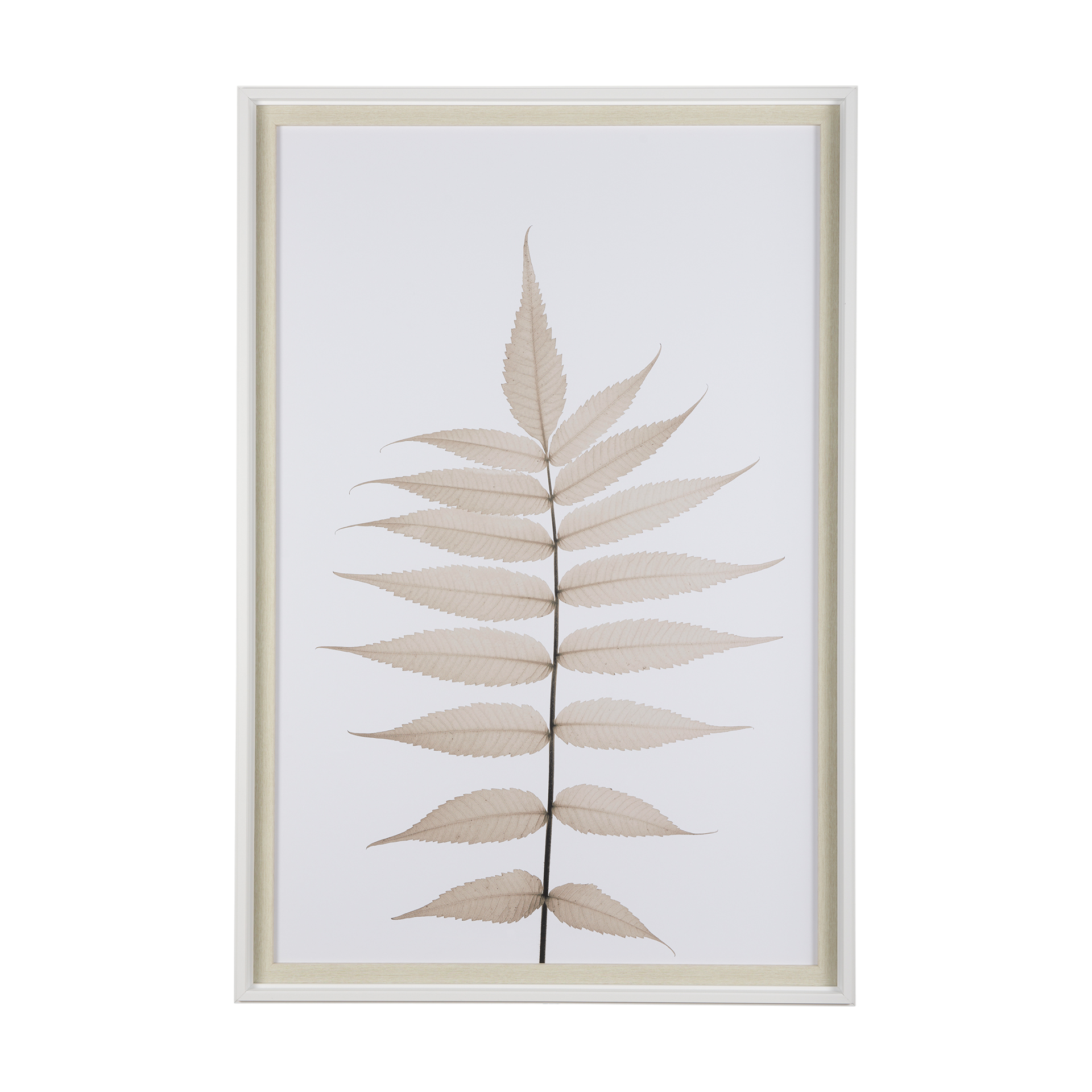 Limber Leaves I (41 x 61)