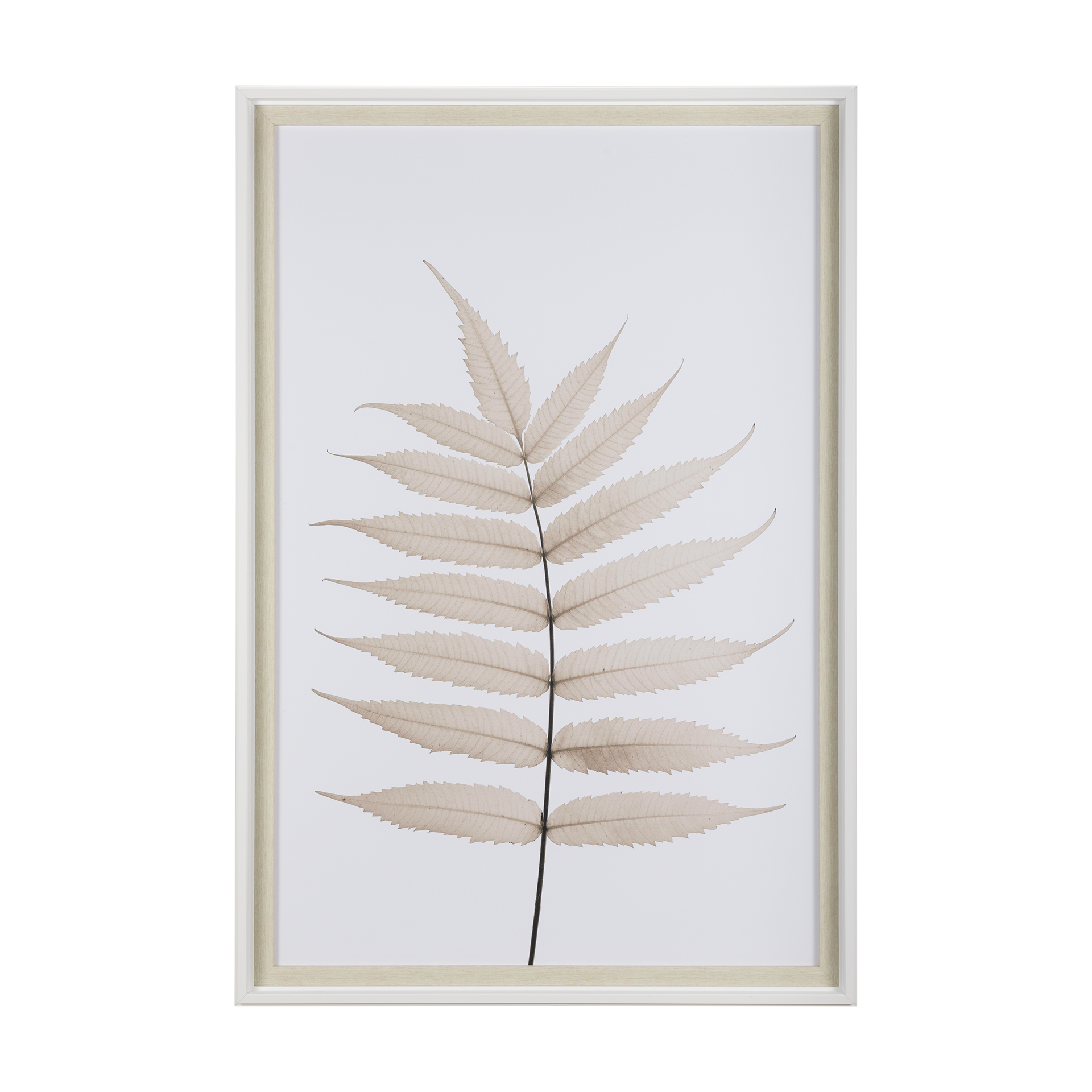 Limber Leaves II (41 x 61)