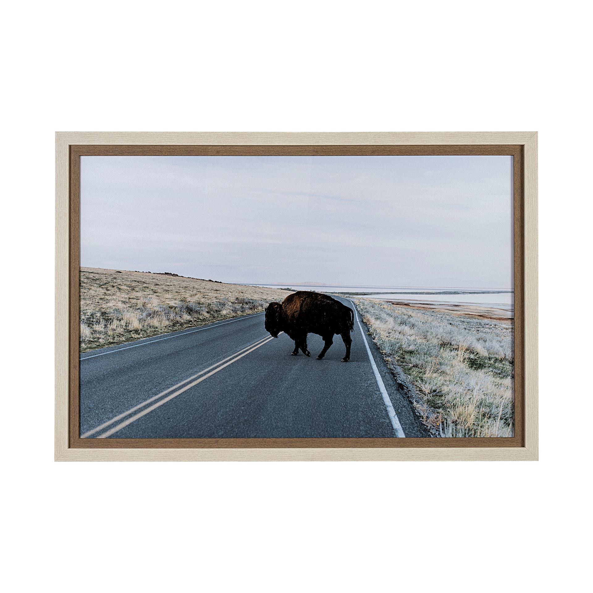 Bison Crossing (43 x 63)