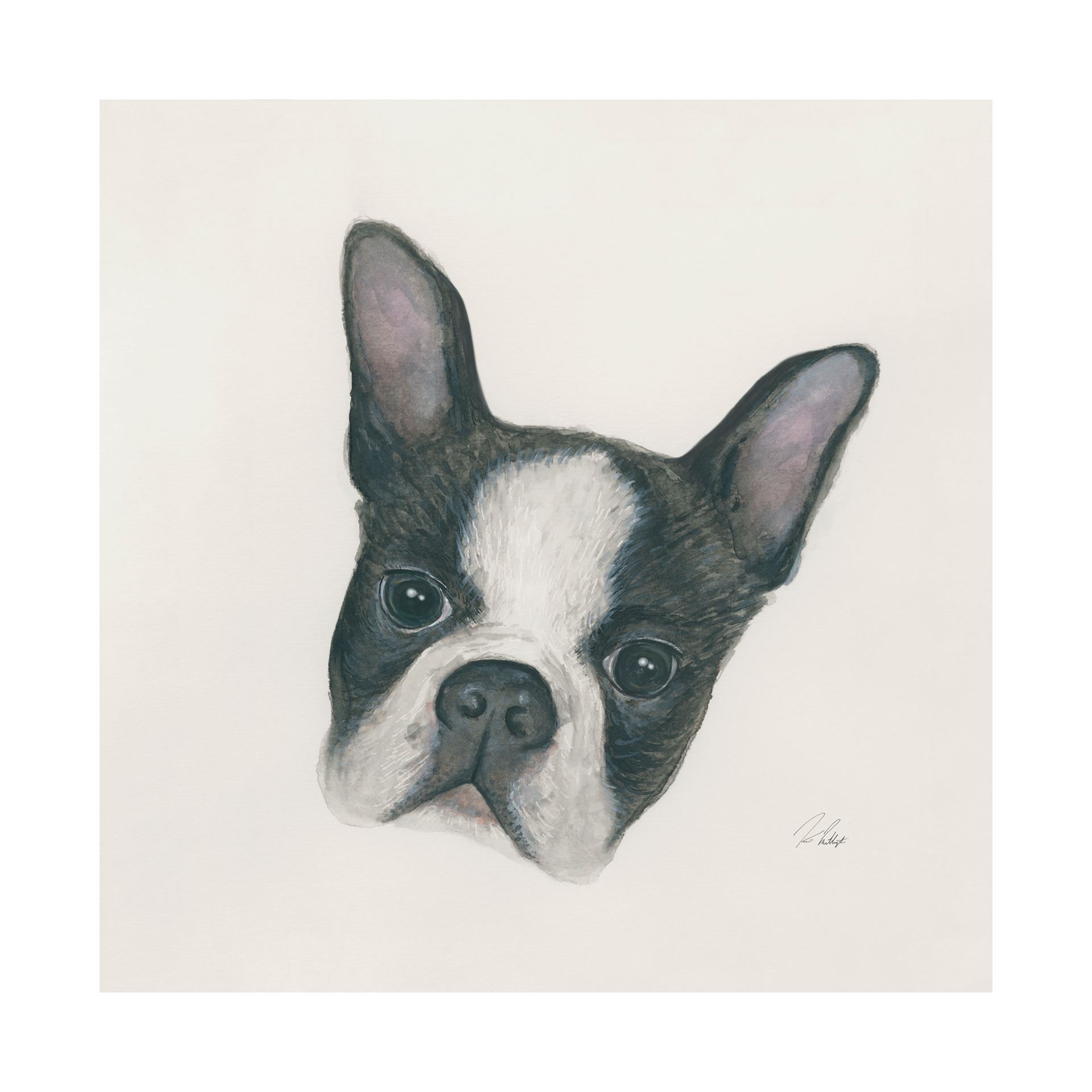 Floyd Boston Terrier (30 x 30)