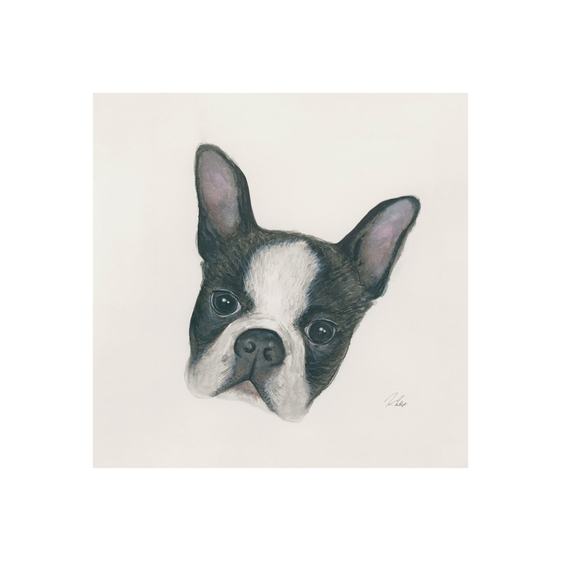 Floyd Boston Terrier (20 x 20)