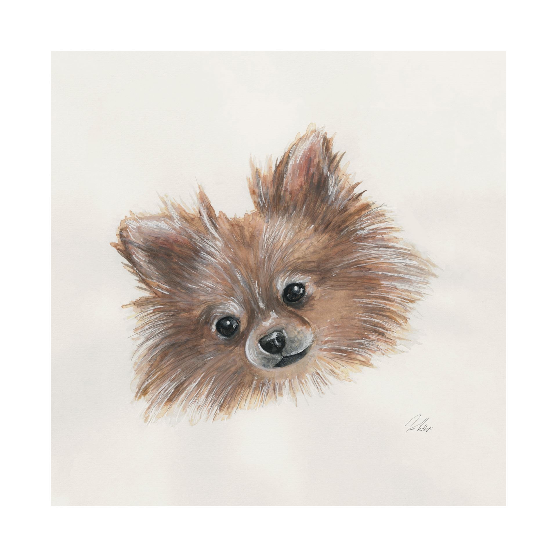 Frankie Pomeranian (30 x 30)