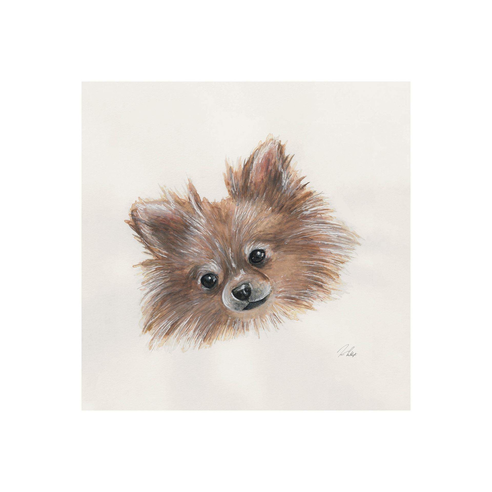 Frankie Pomeranian (20 x 20)