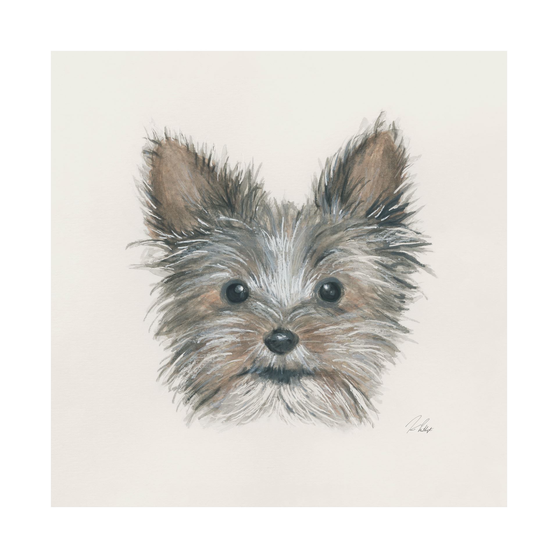 Eddie Yorkie (30 x 30)