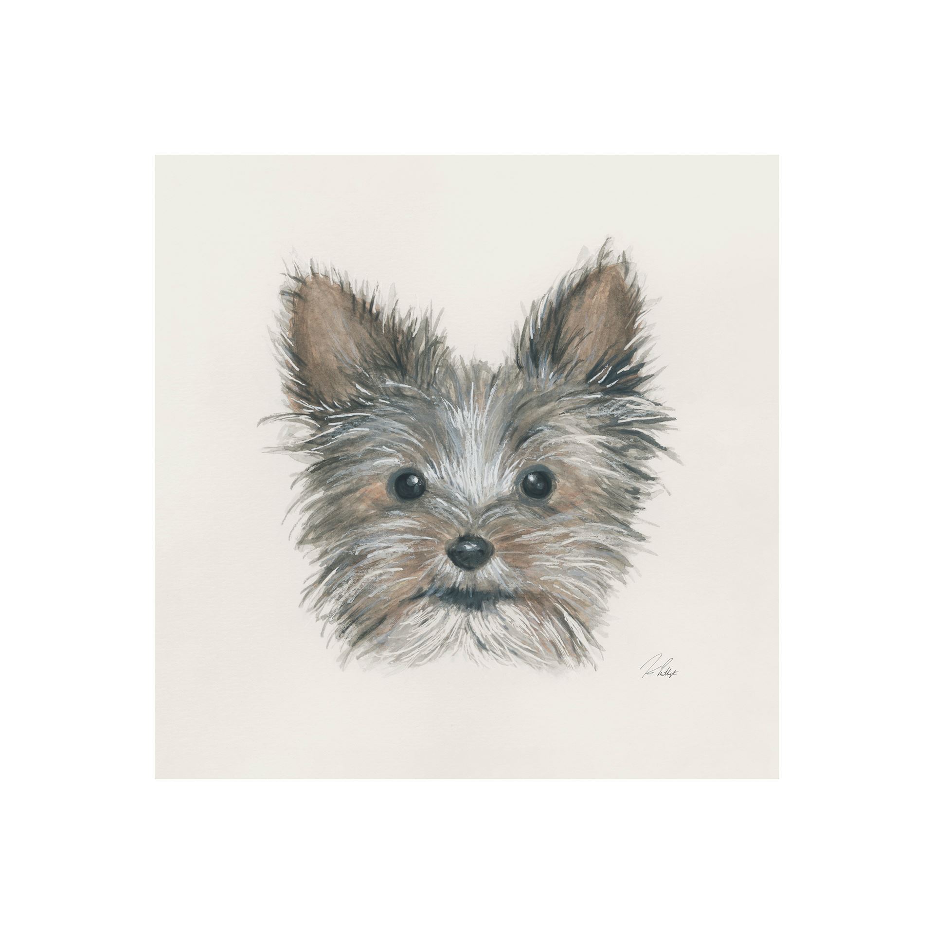 Eddie Yorkie (20 x 20)