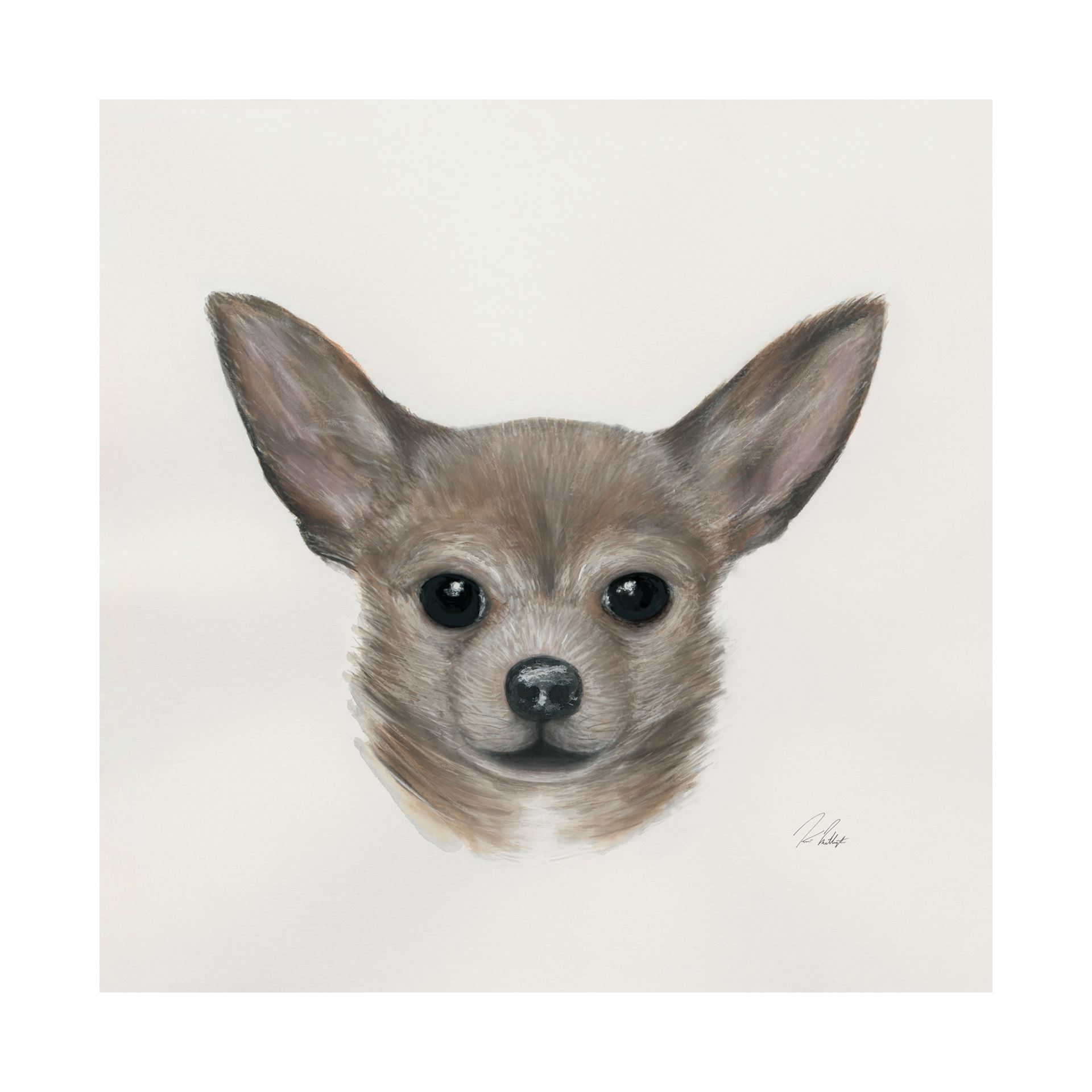 Chihuahua (30 x 30)