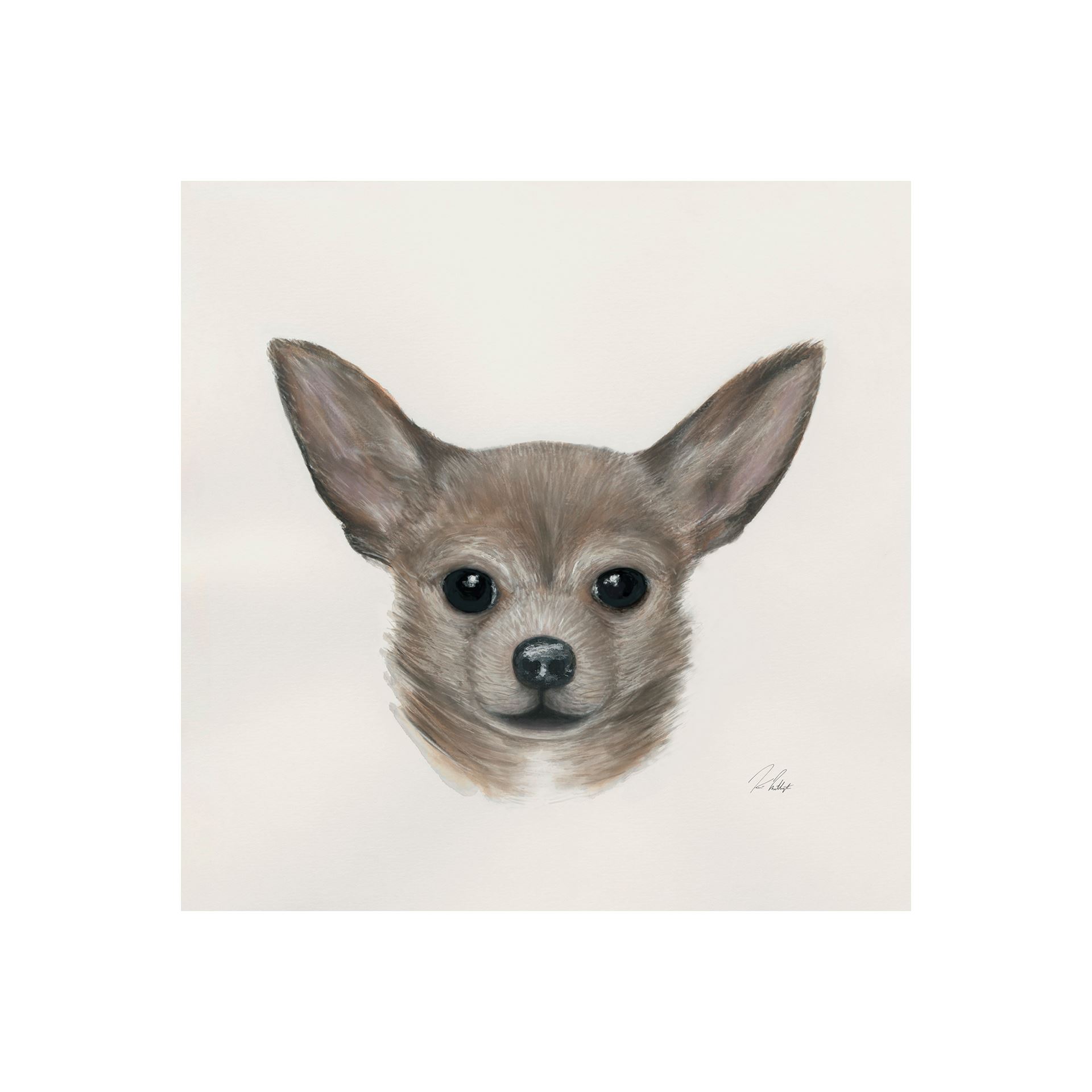 Chihuahua (20 x 20)