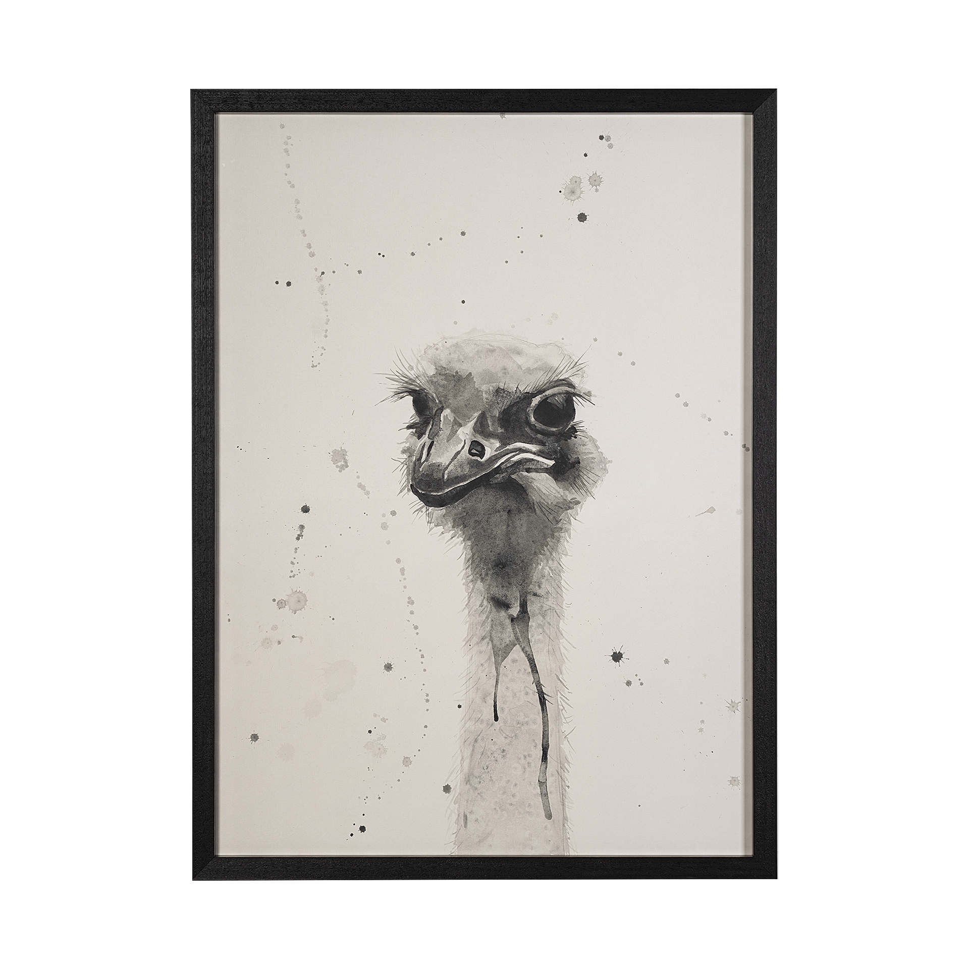 Watercolor Ostrich (43 x 58)