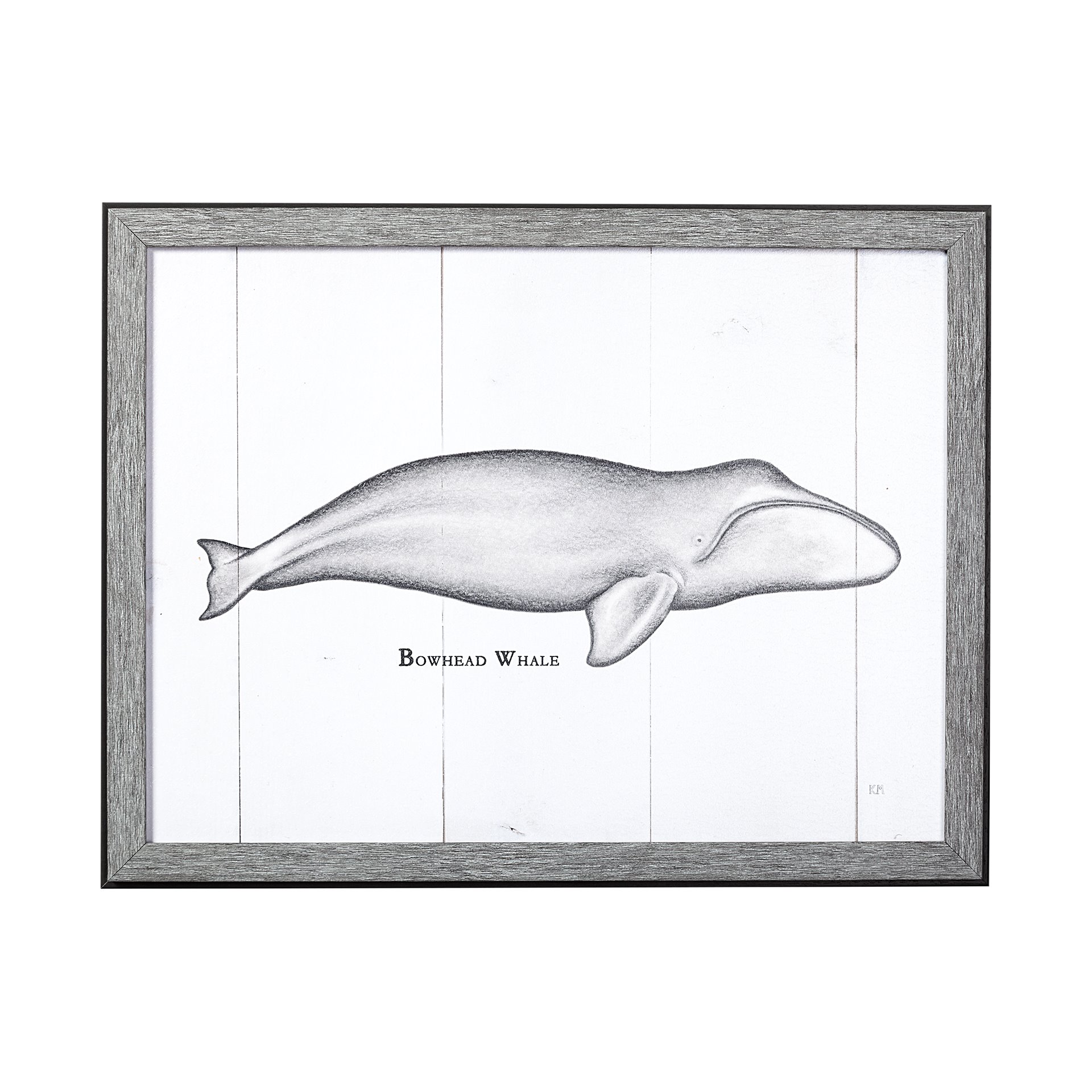 Bowhead Whale (17 x 13)