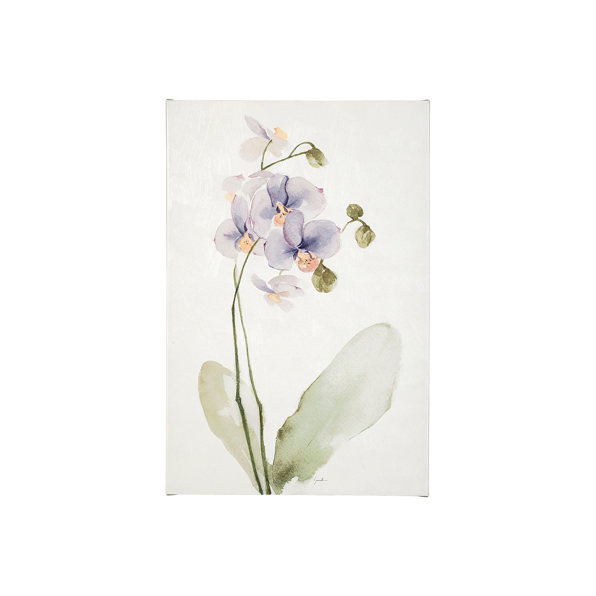 Purple Orchid (20 x 30)