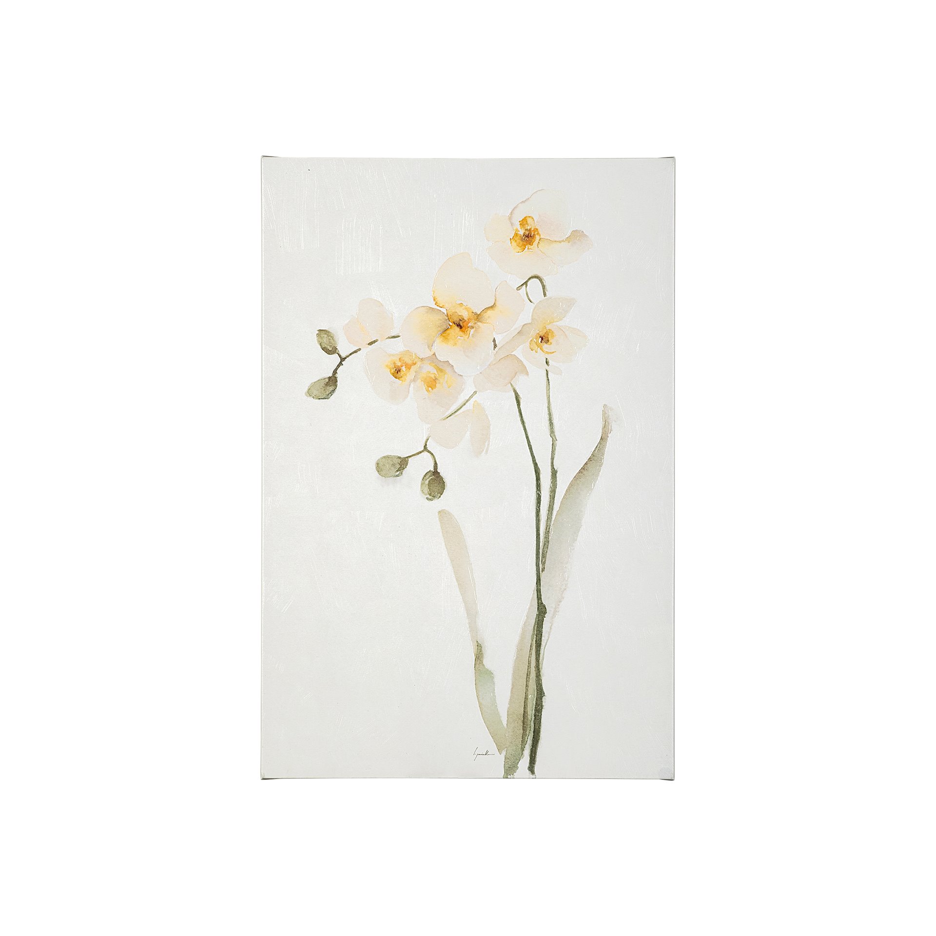 White Orchid (20 x 30)