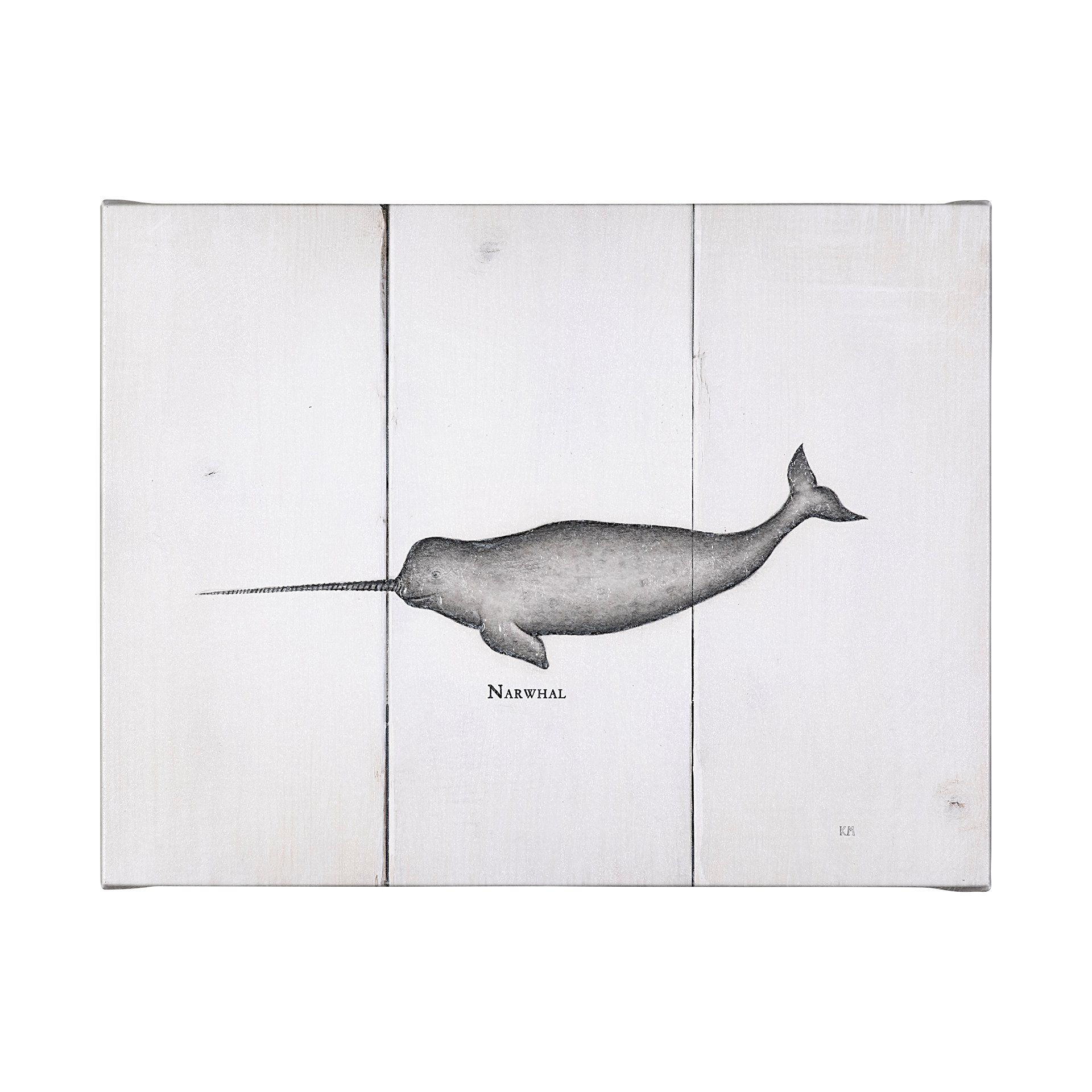 Narwhal (40 x 30)