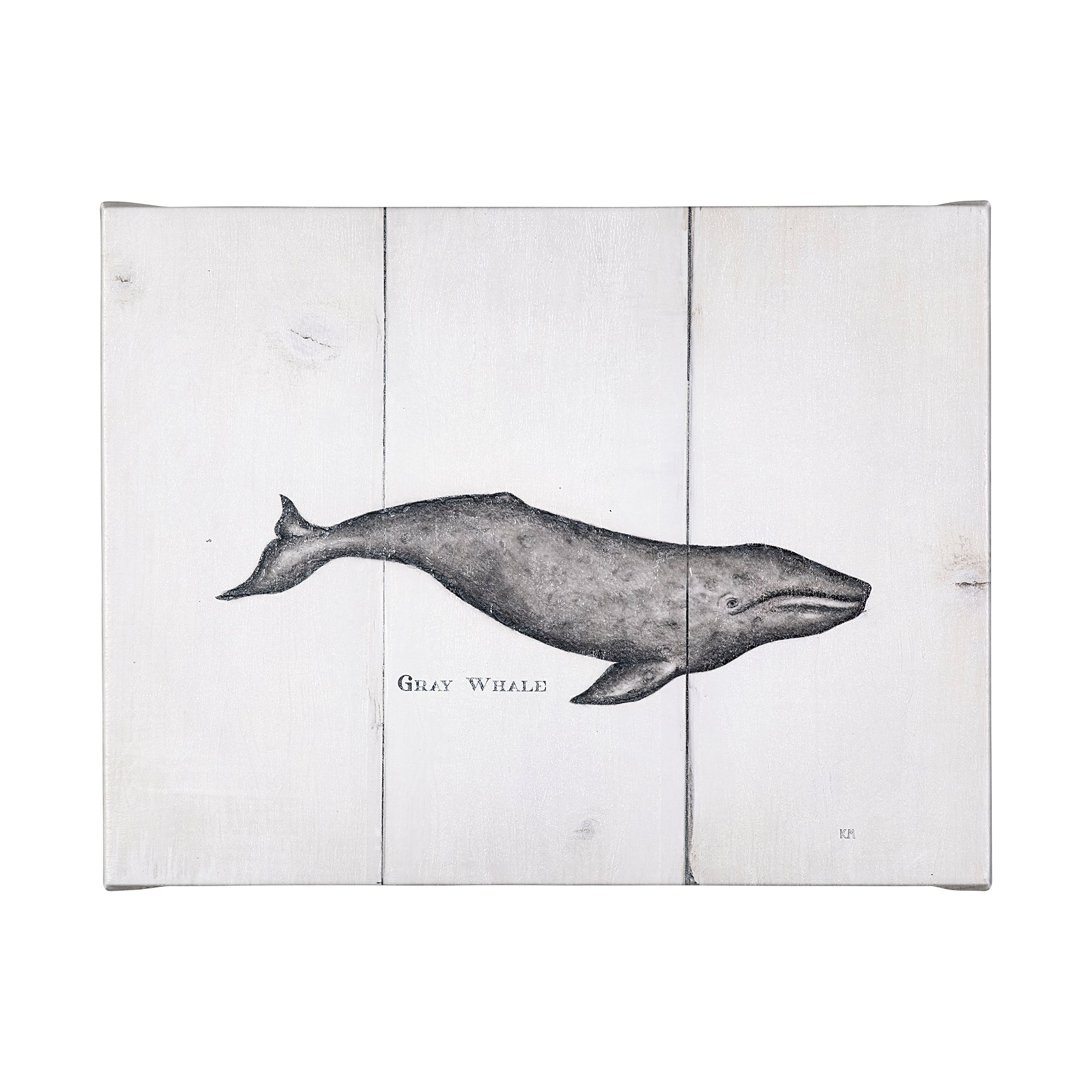 Gray Whale (40 x 30)