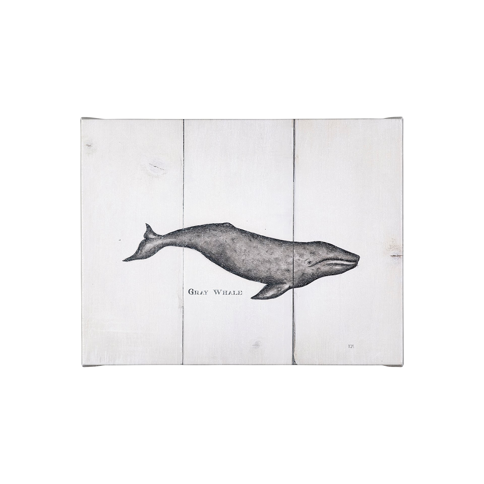 Gray Whale (26 x 20)