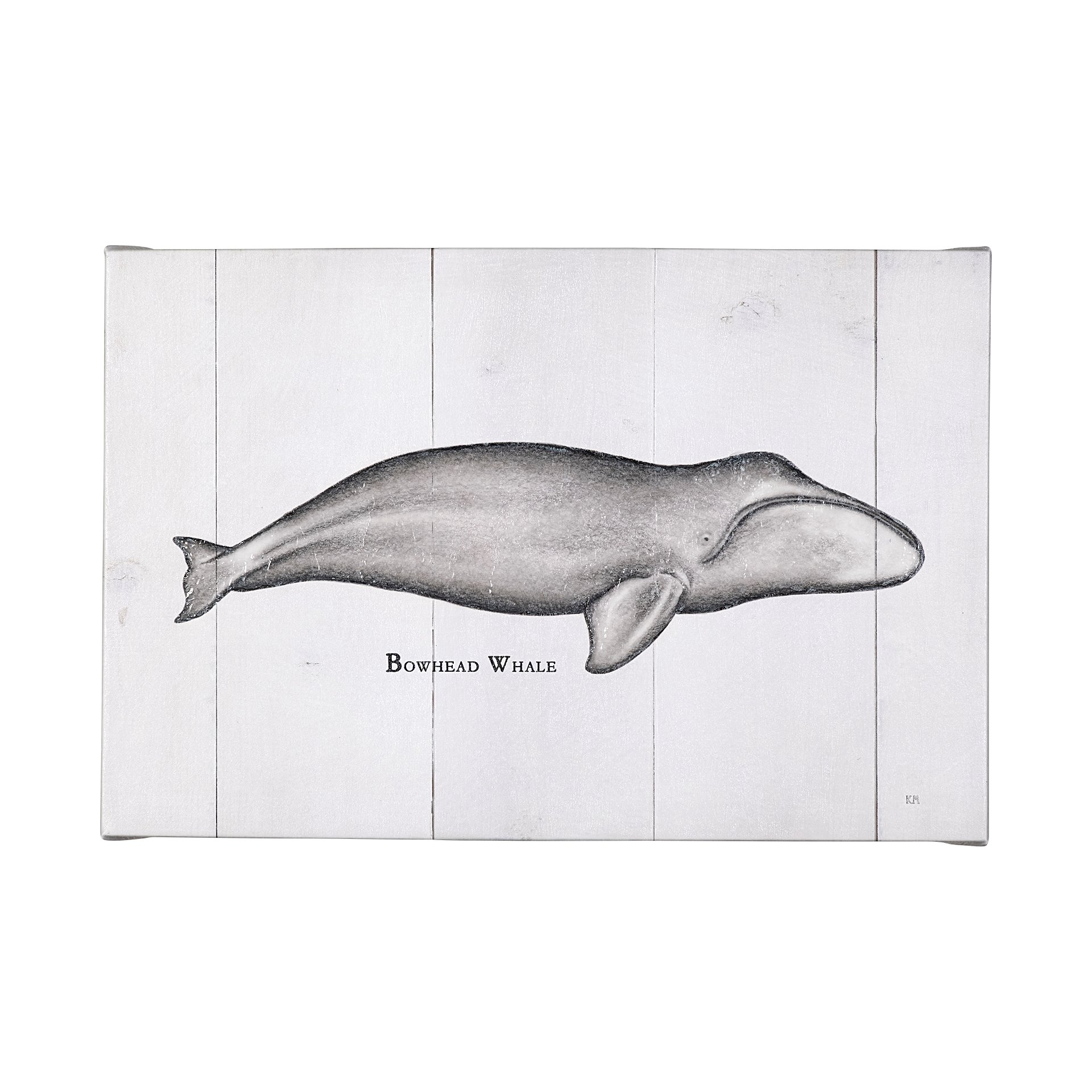 Bowhead Whale (50 x 30)