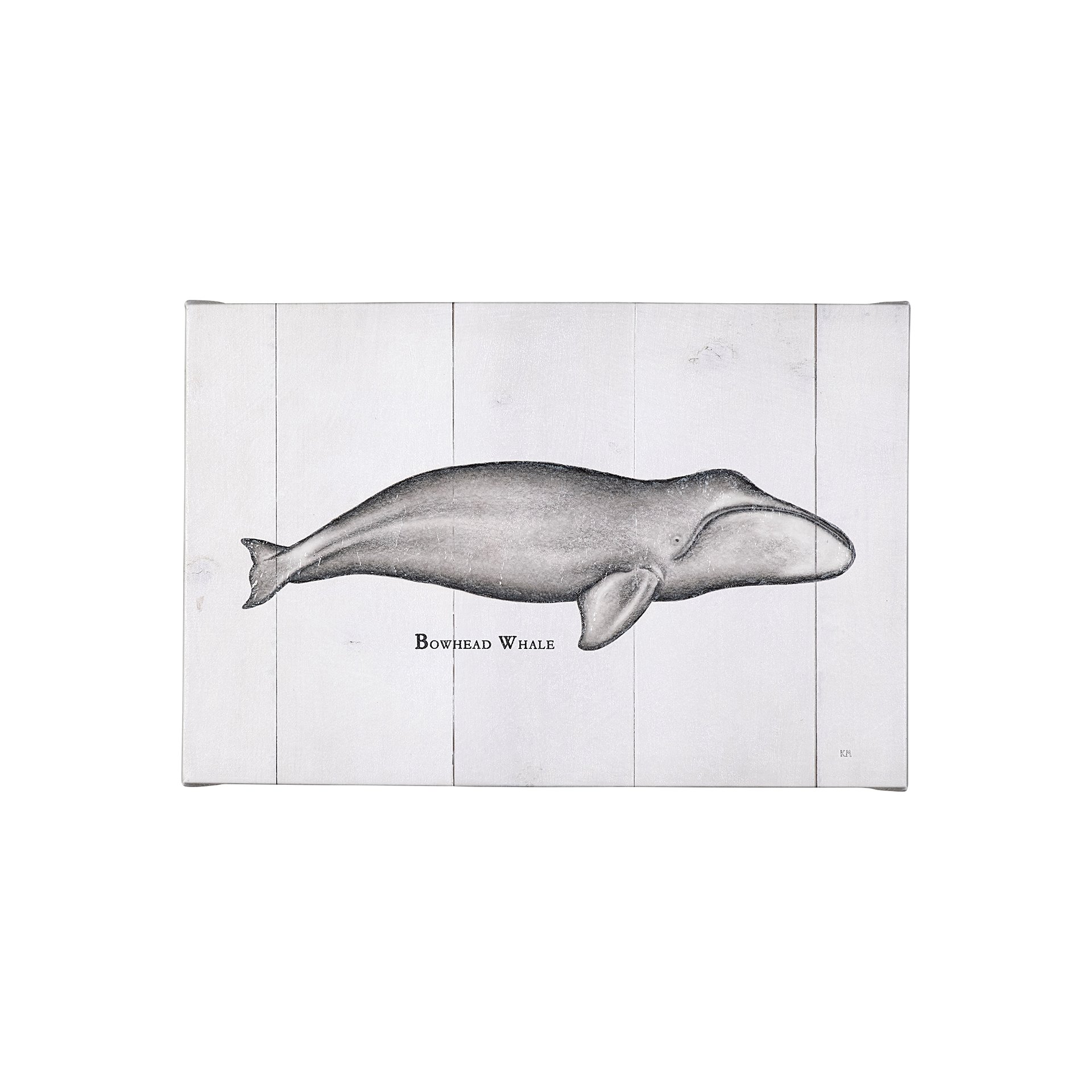 Bowhead Whale (30 x 20)