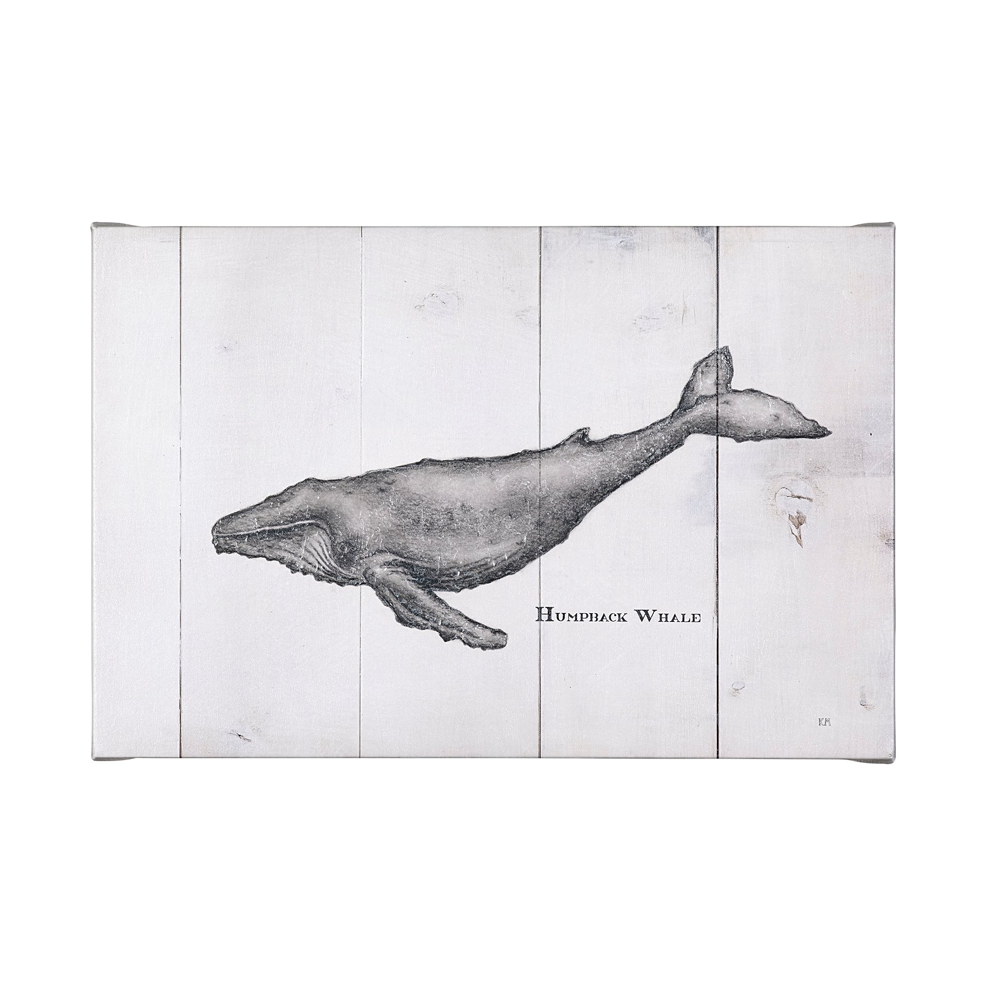 Humpback Whale (50 x 30)