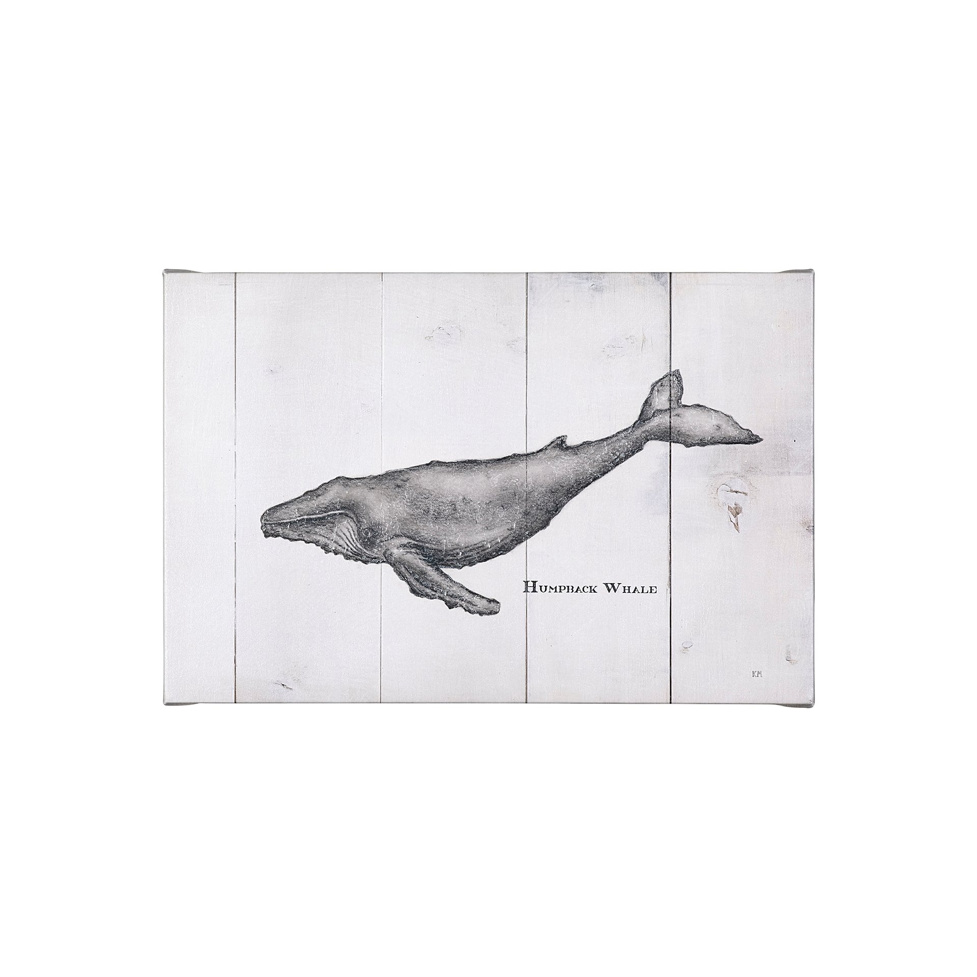 Humpback Whale (30 x 20)