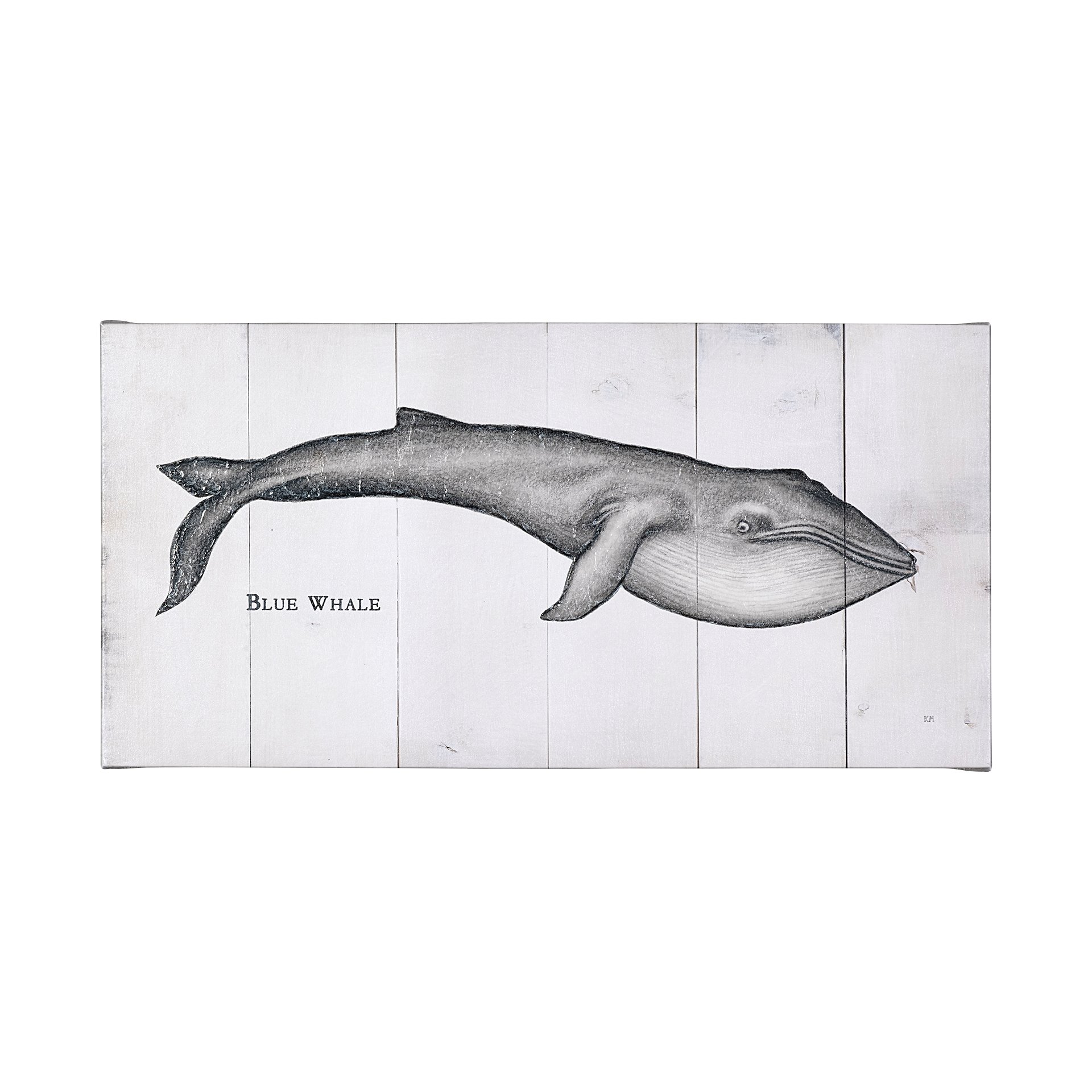 Blue Whale (60 x 30)