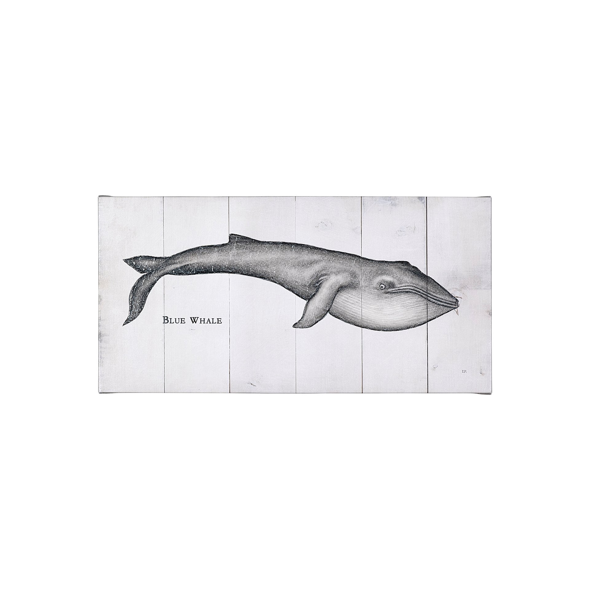 Blue Whale (40 x 20)