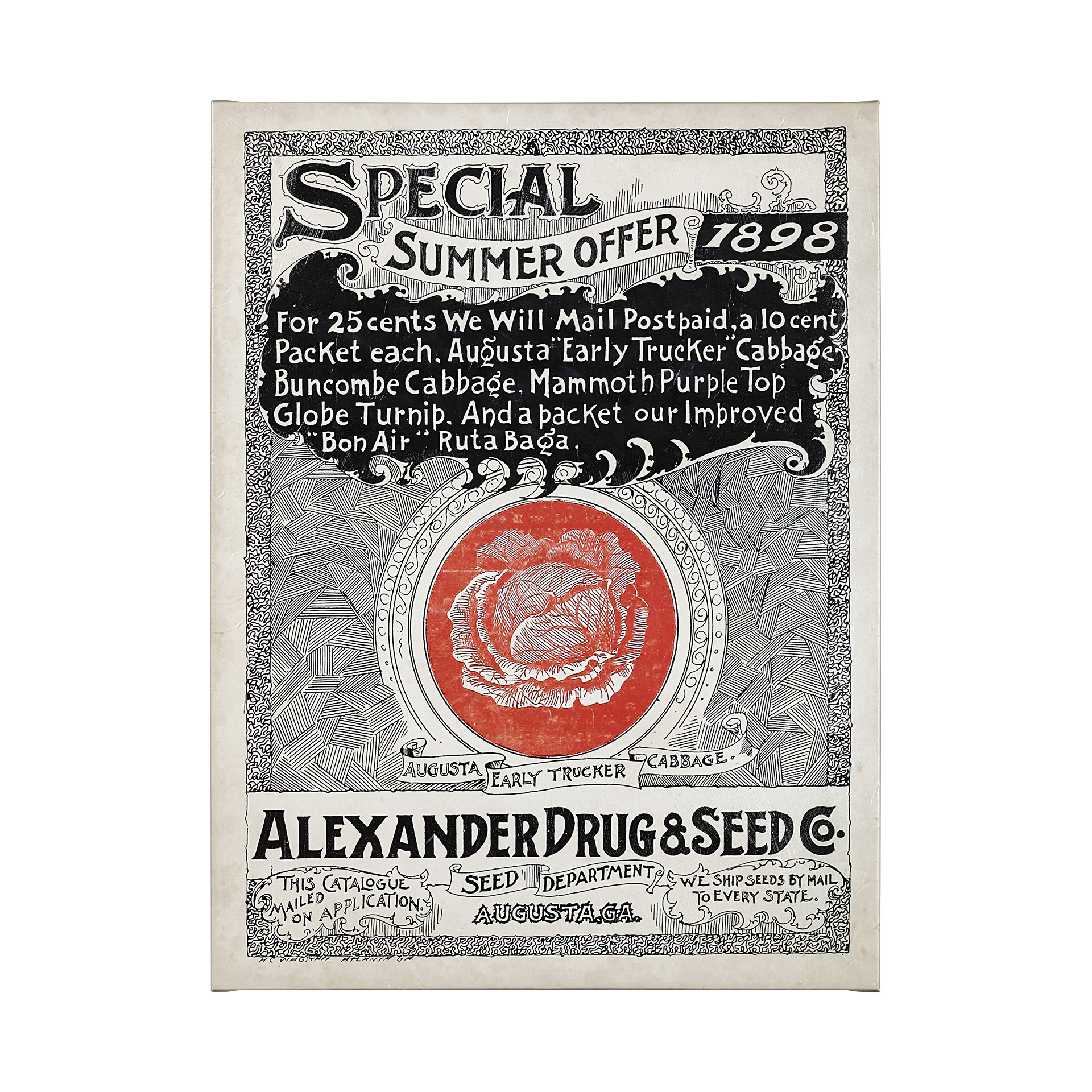 Antique Seed Packet XIIII (42 x 42)